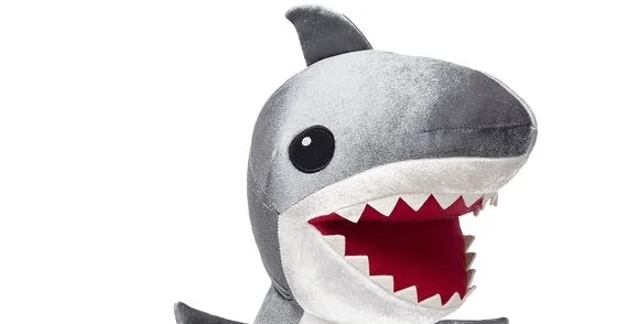 shark.jpg