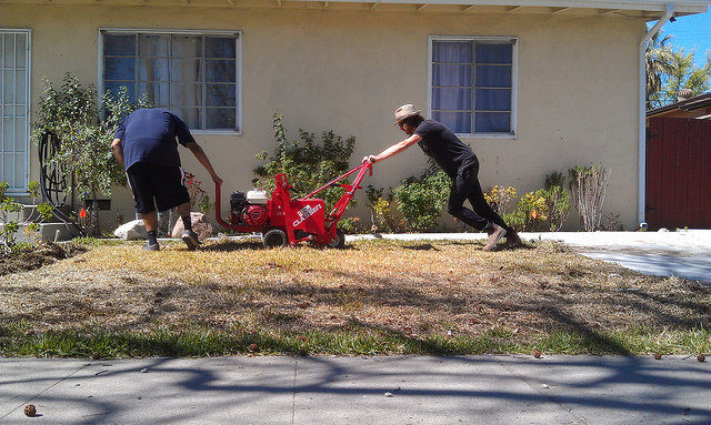 Strategies Turf Removal Water LA