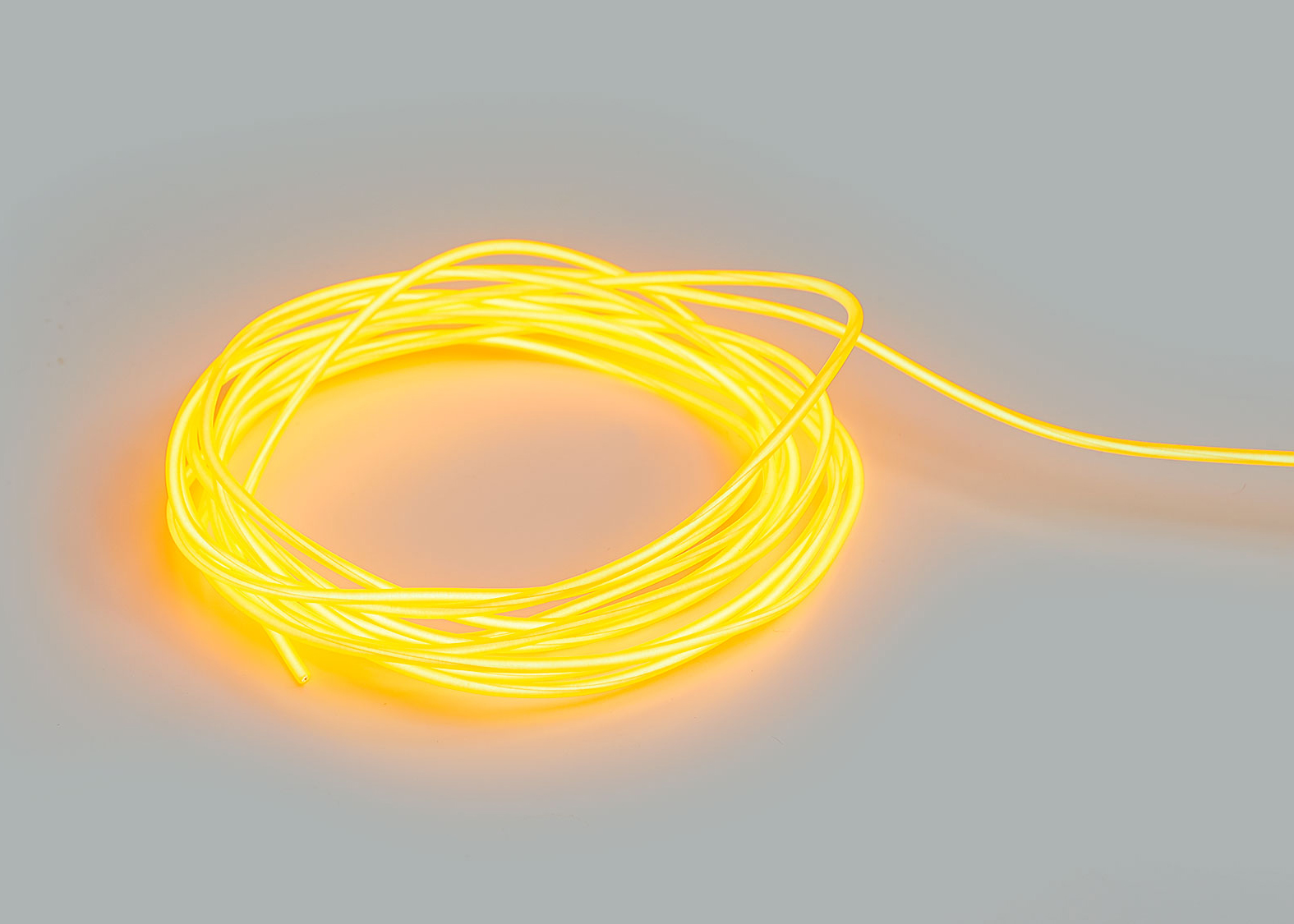 light-up-north-el-wire-01.jpg