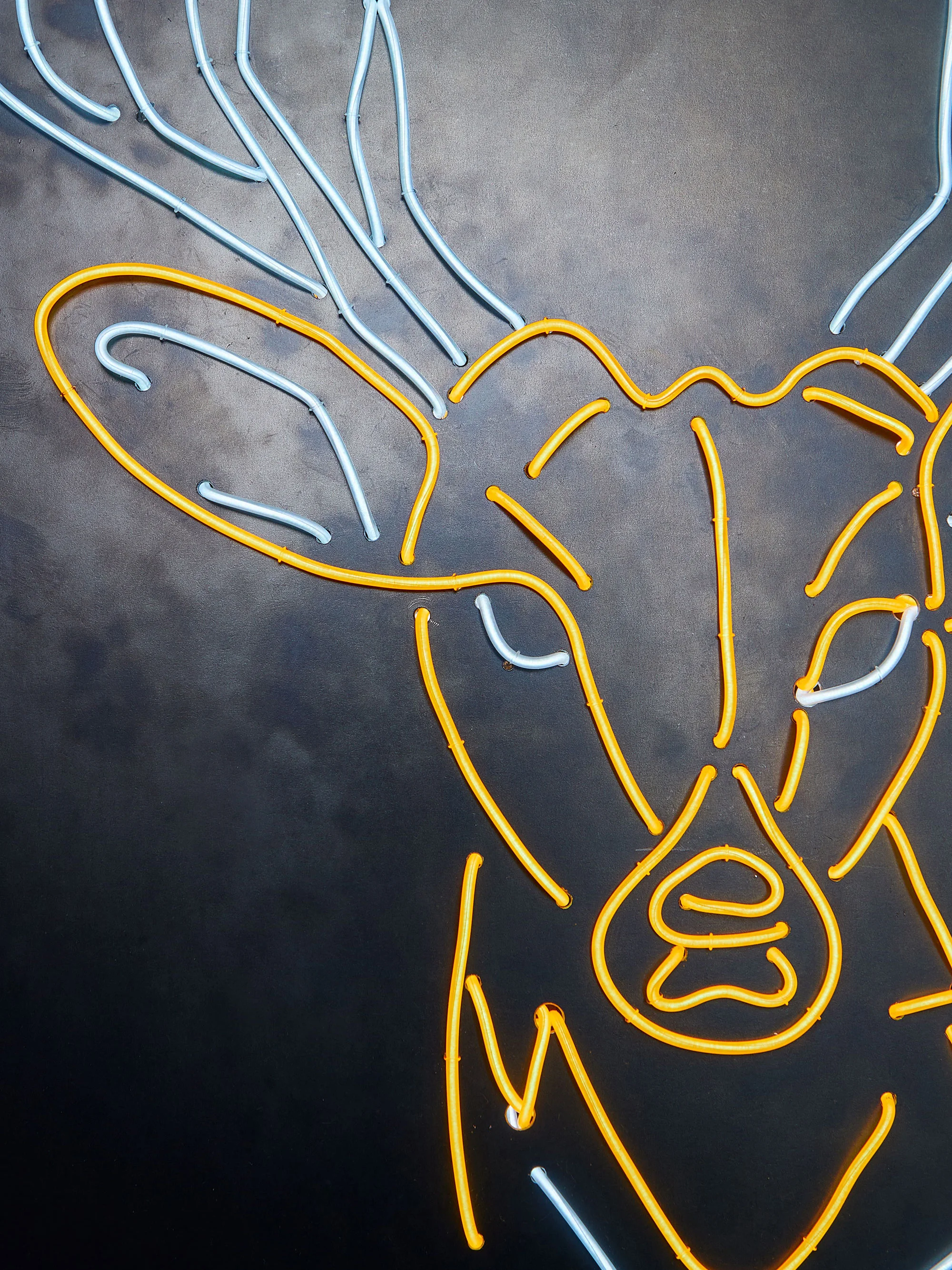 light-up-north-stag_04.jpg