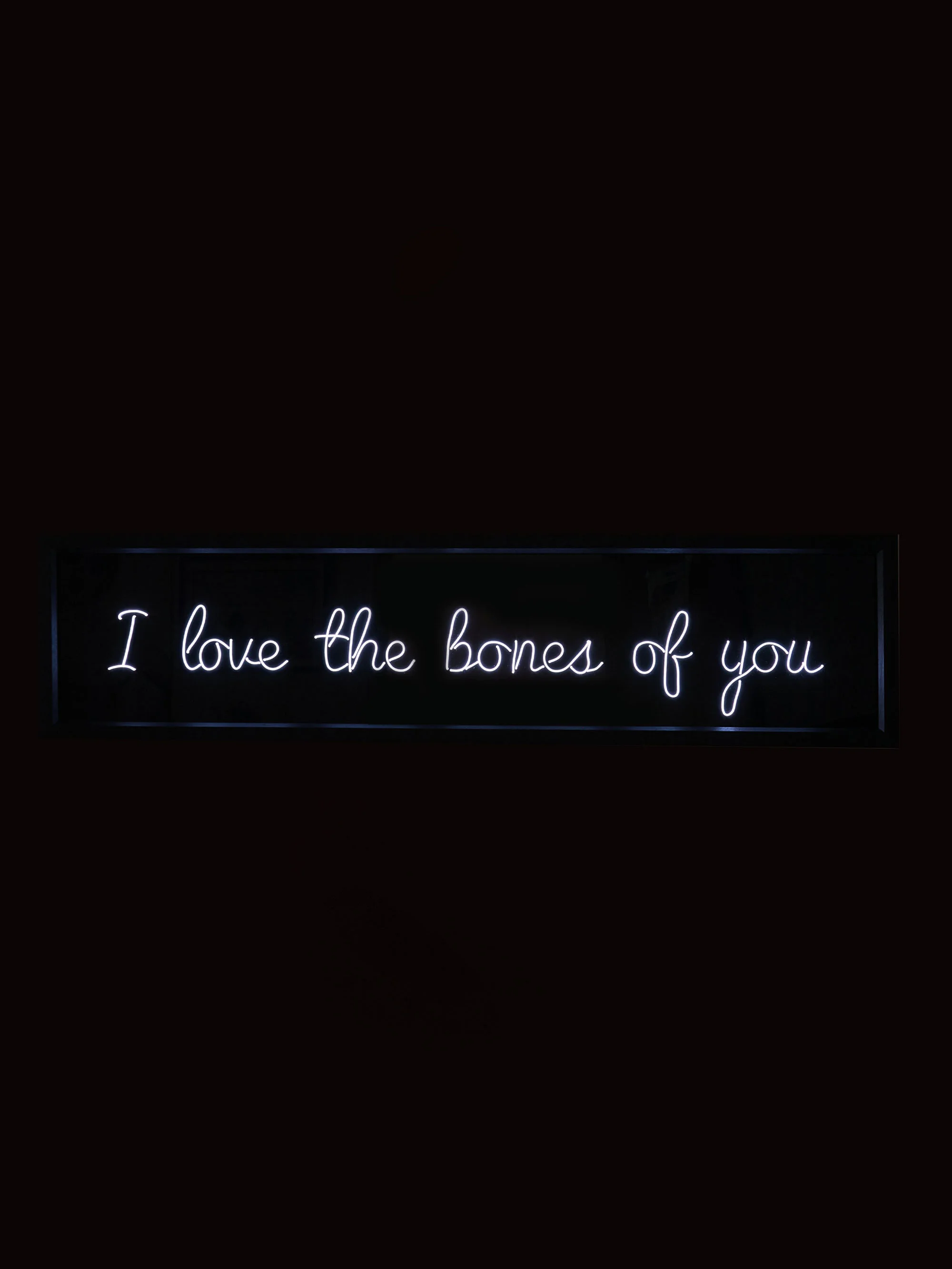 light-up-north-bones_01.jpg
