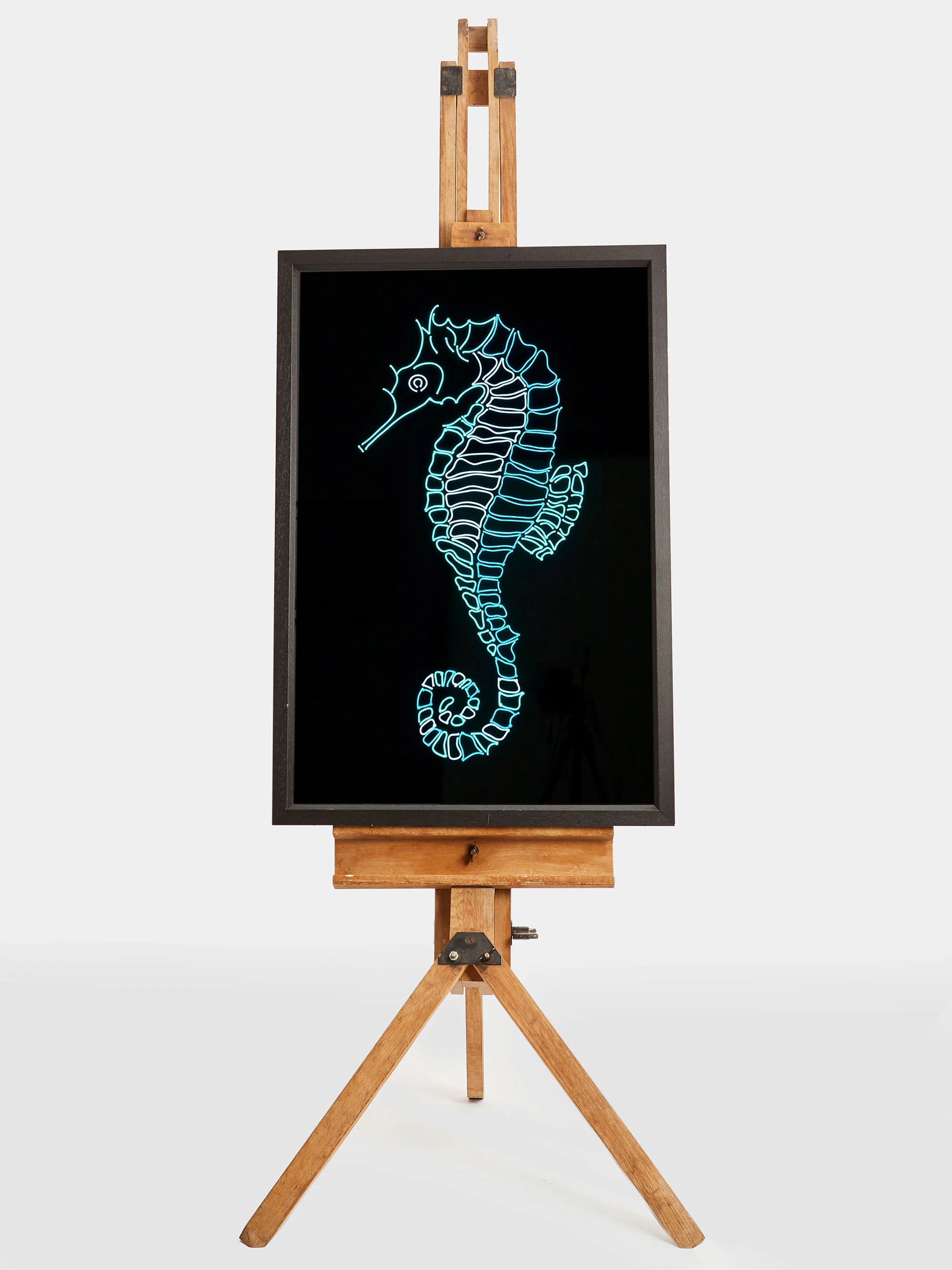 light-up-north-seahorse-02.jpg