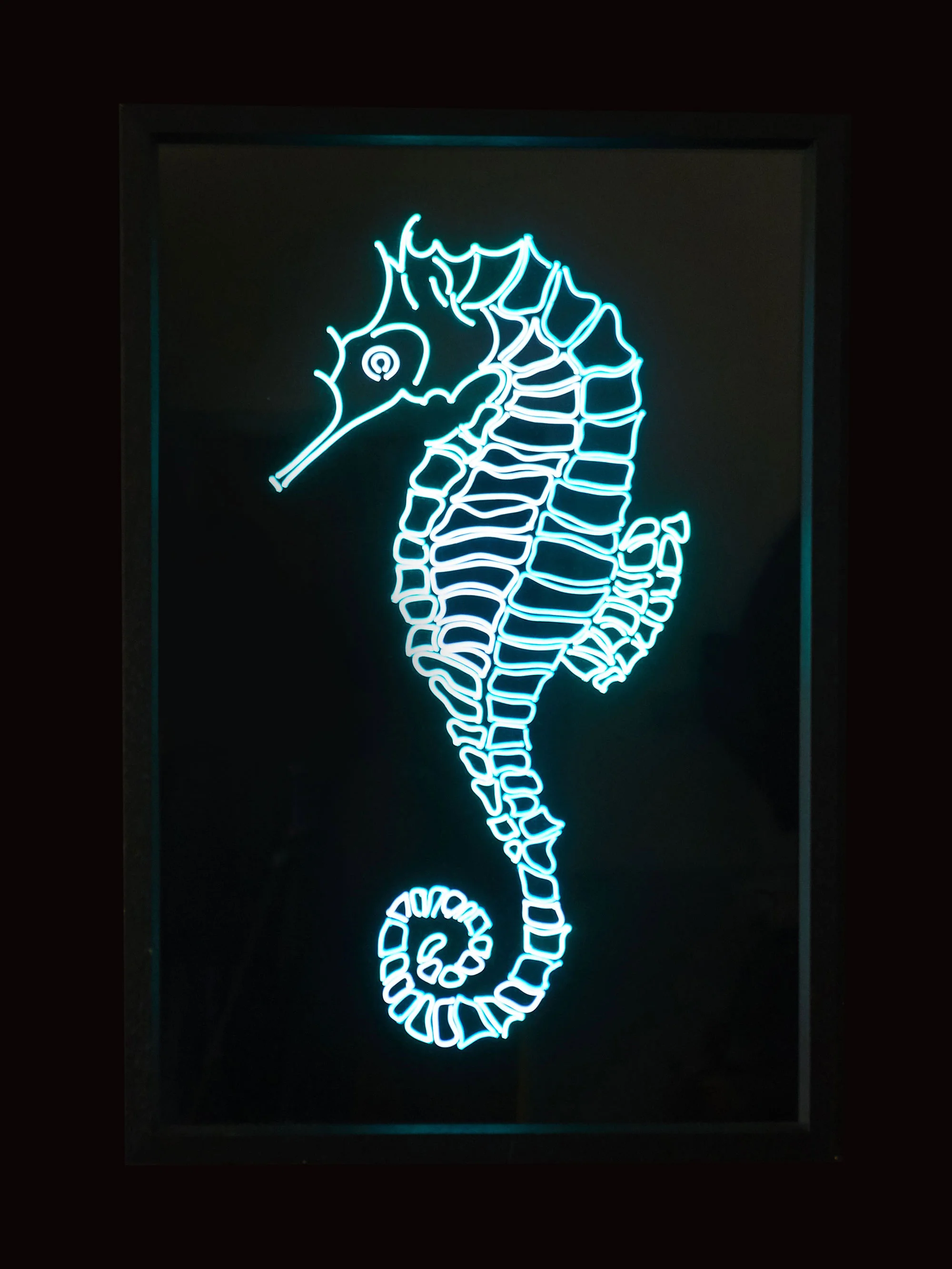 light-up-north-seahorse-01.jpg