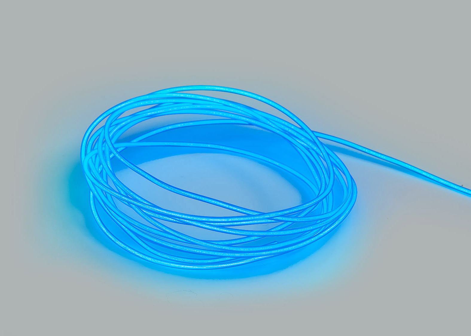 light-up-north-el-wire-05.jpg