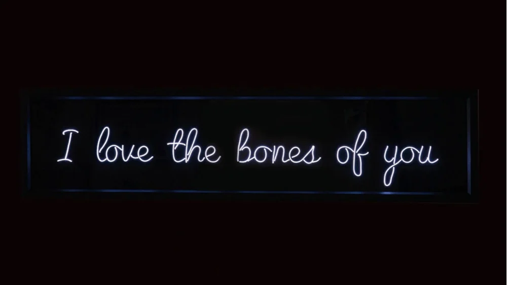light-up-north-bones_01+%281%29.jpg