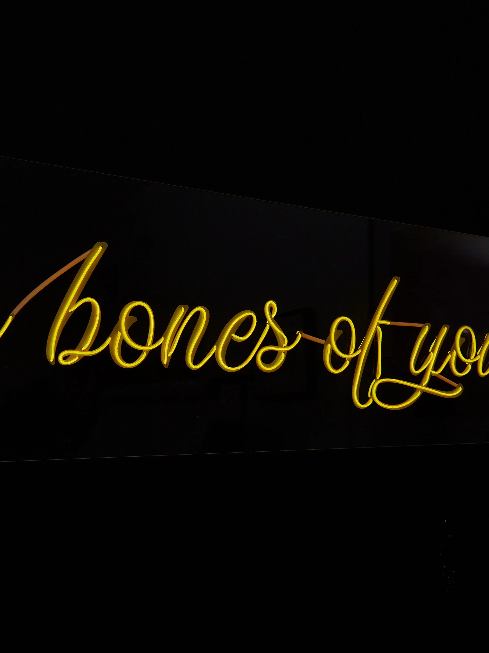 full-product-i-love-the-bones_05.jpg