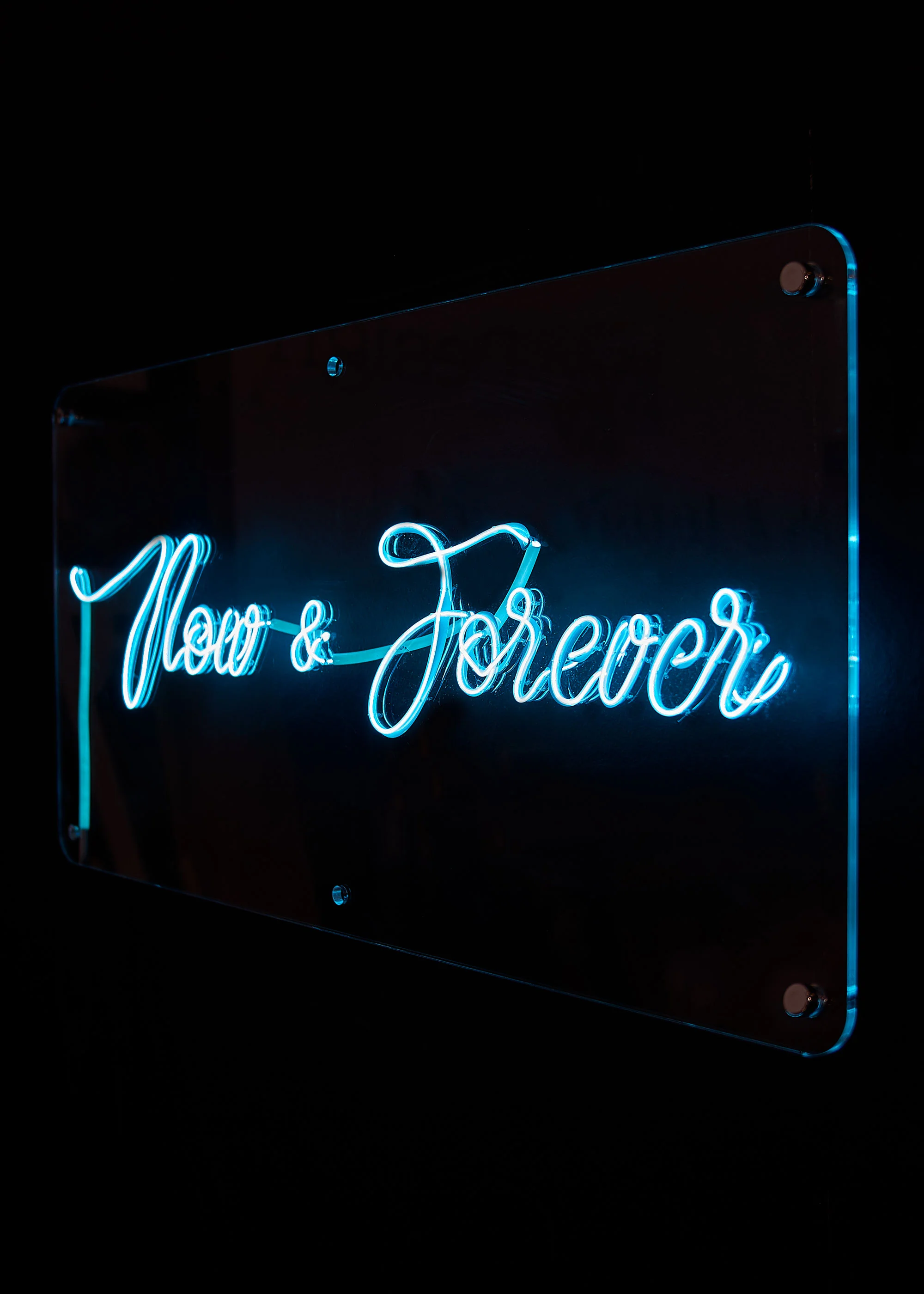 now-and-forever_03.jpg
