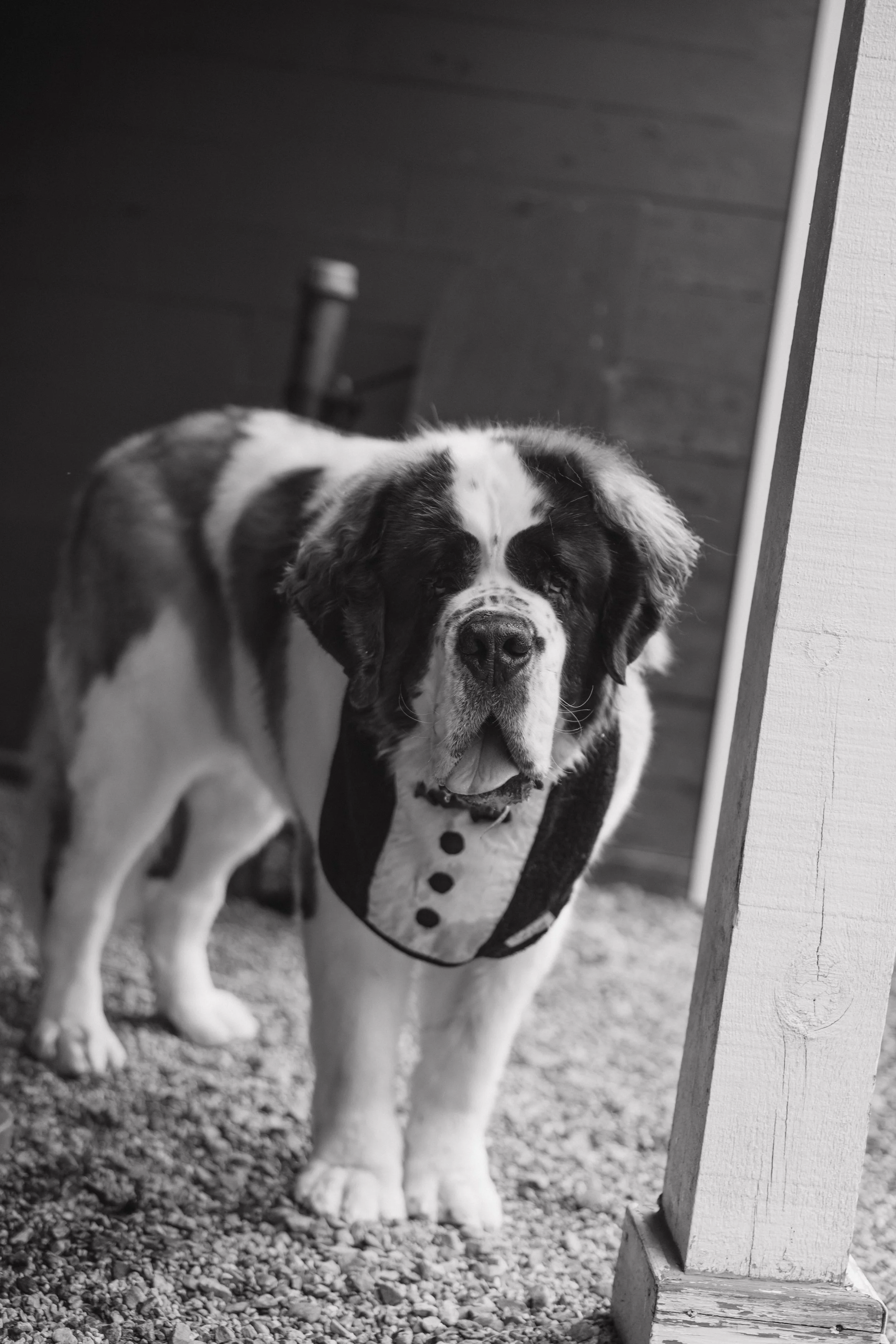SarahBeranekPhoto1(497).jpg