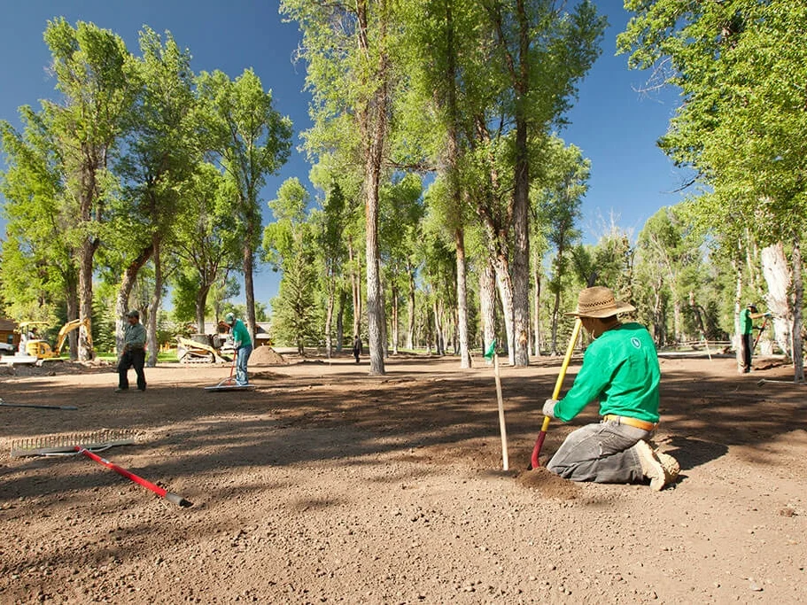 lawngevity_at_work.jpg