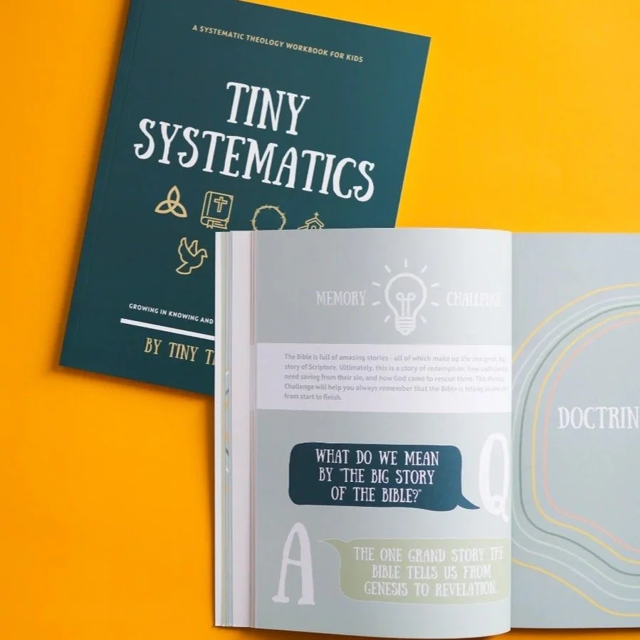 Tiny Systematics Workbook