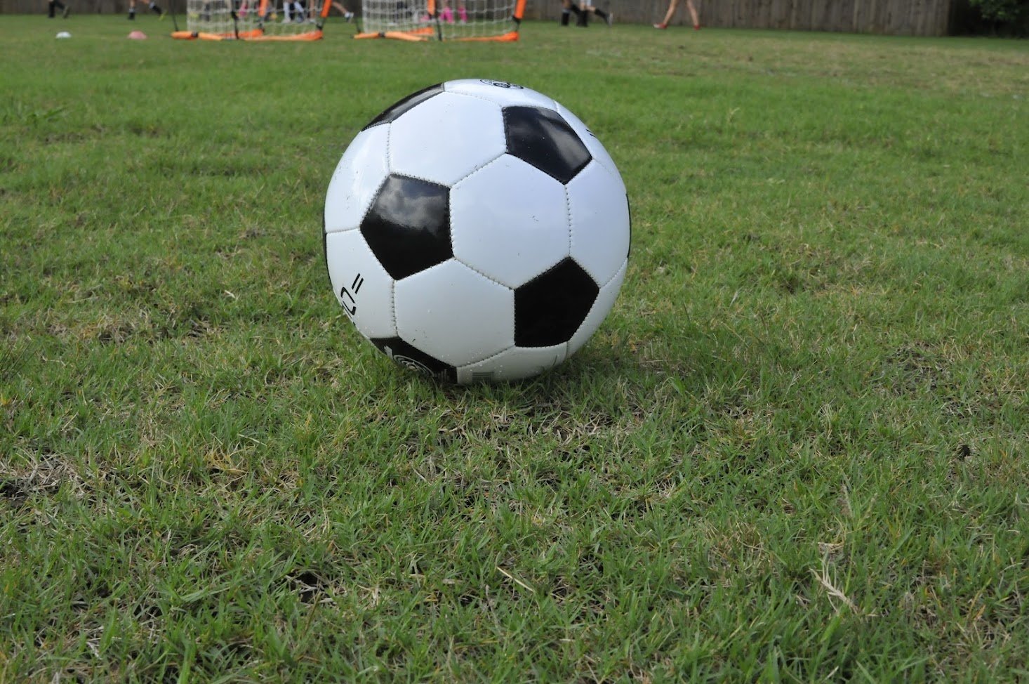 Day 3 - soccer ball.jpeg