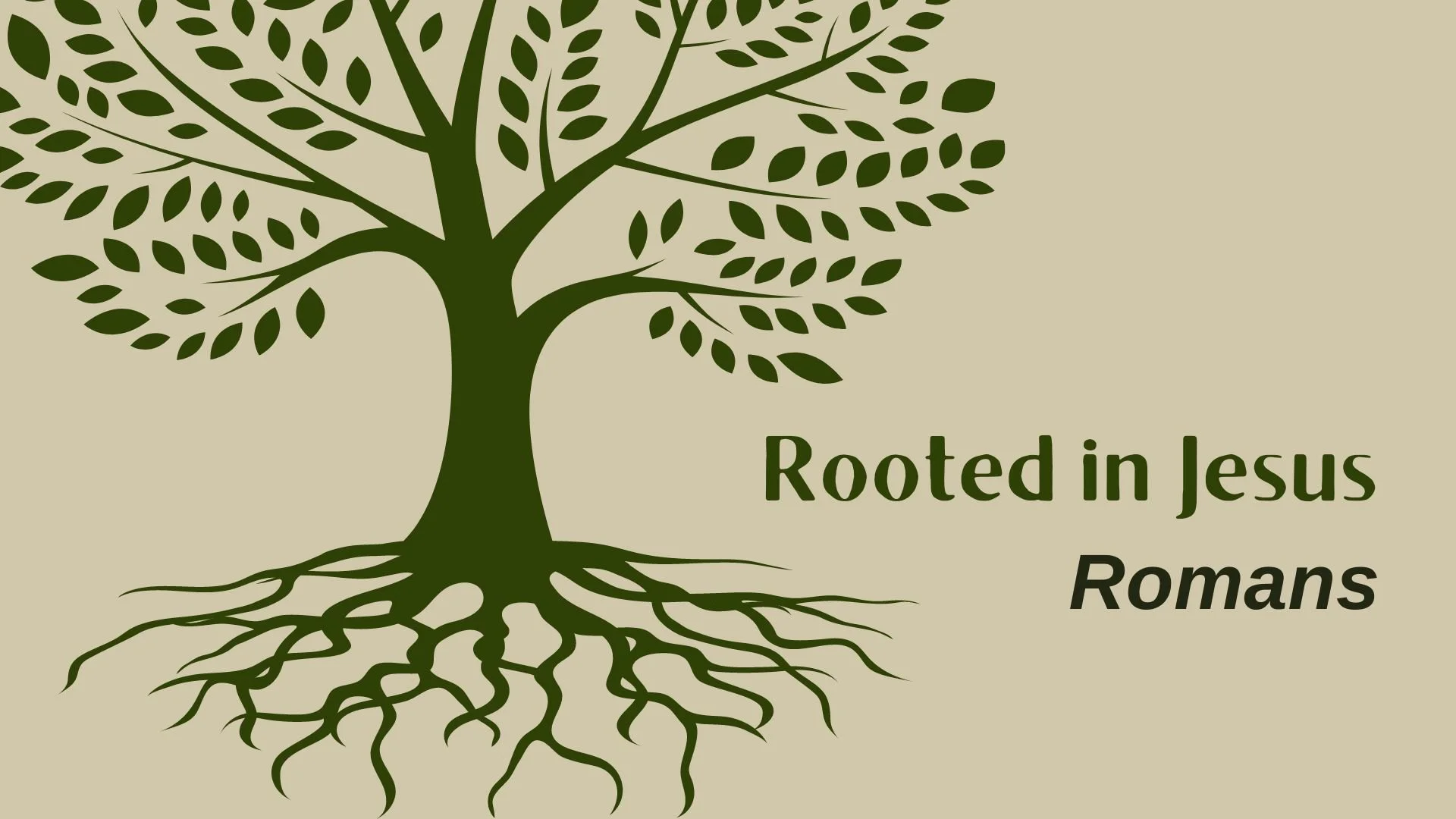 Romans: Rooted in Jesus — East Cobb Presbyterian Church