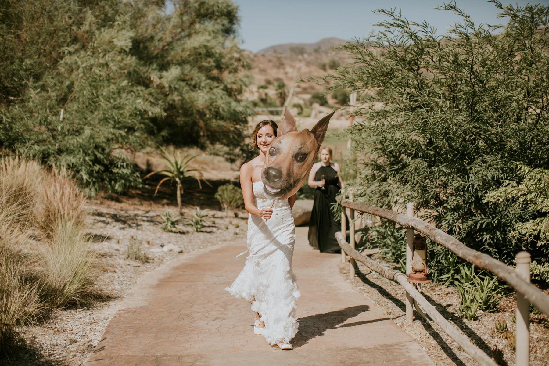 Steph + Brad_0022.jpg