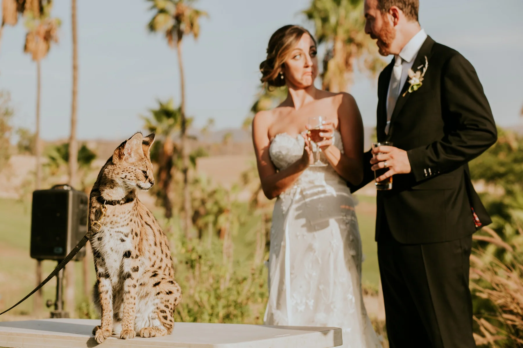Steph + Brad_0068.jpg