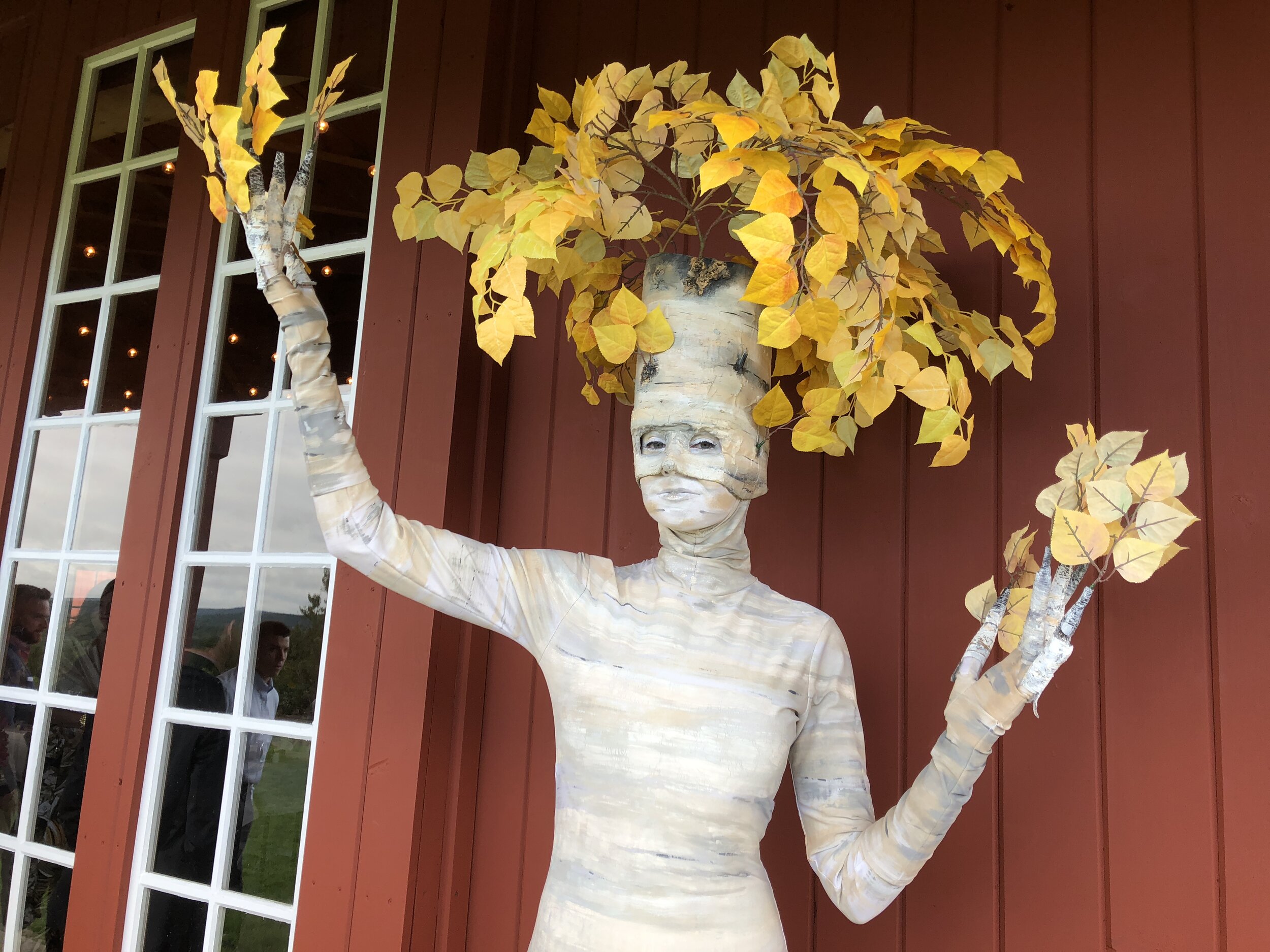 TEN31's Autumn Enchanted Forest