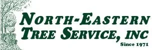 North Eastern Tree.jpeg