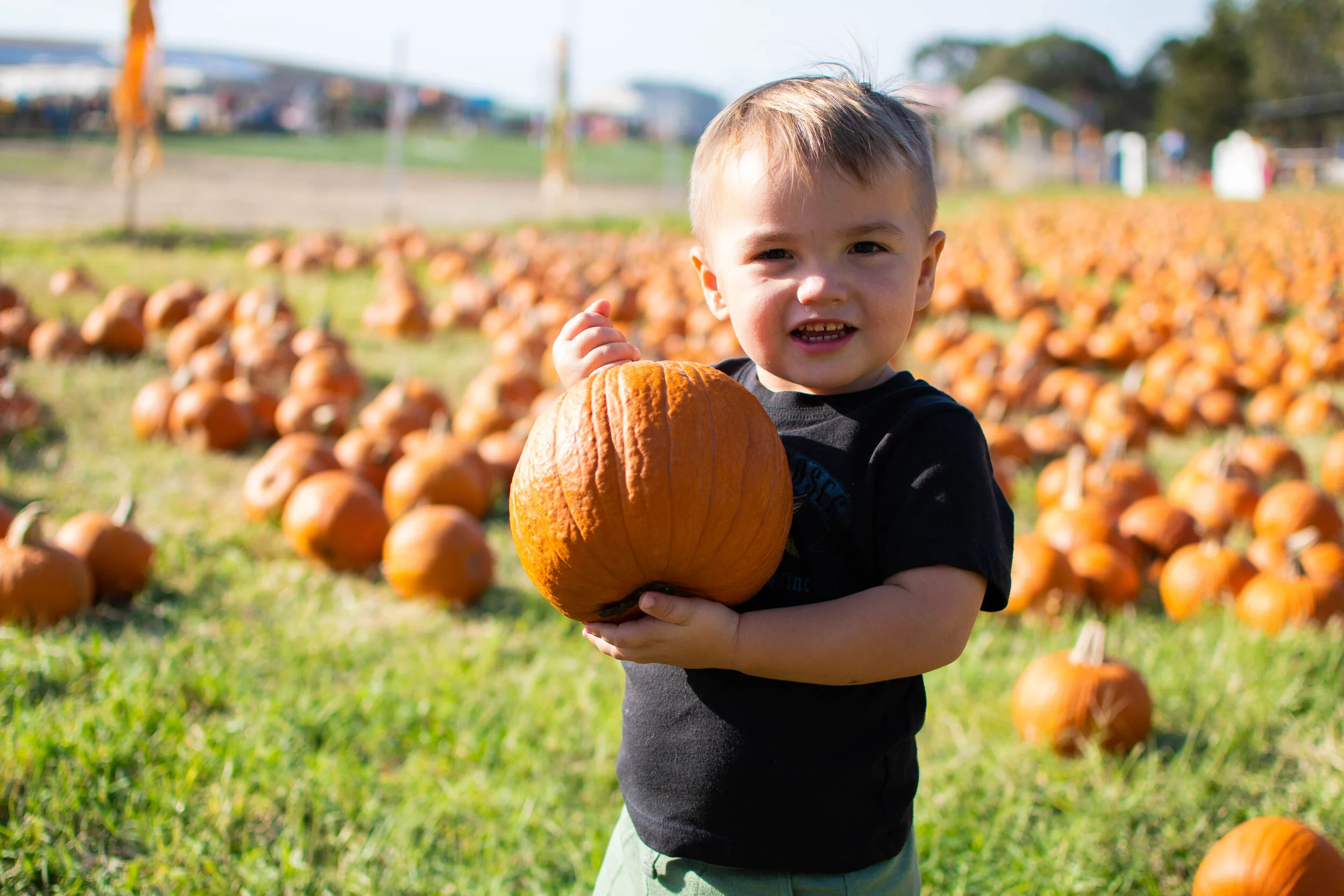Pumpkin patch-4.jpg