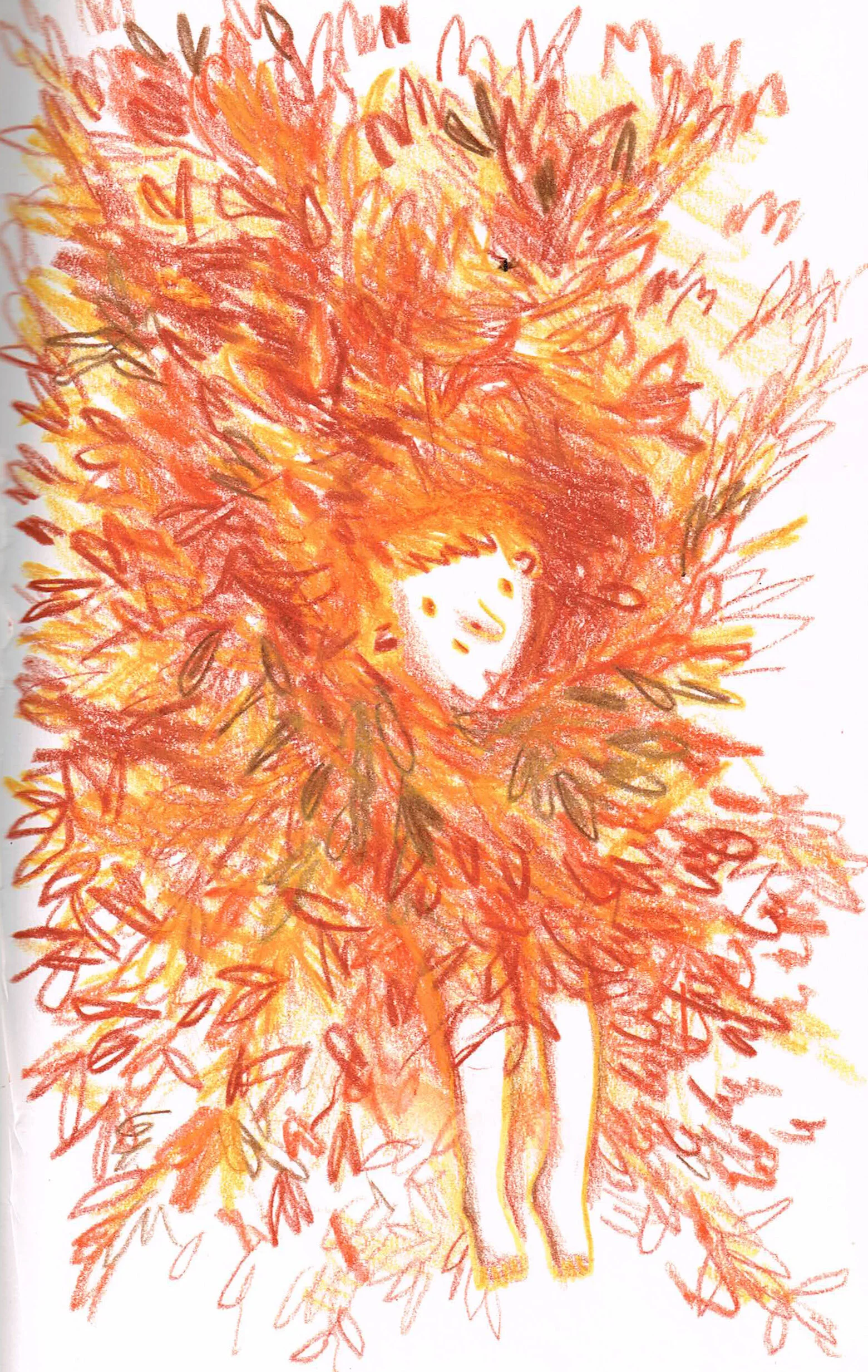 Dans l'arbre.jpg
