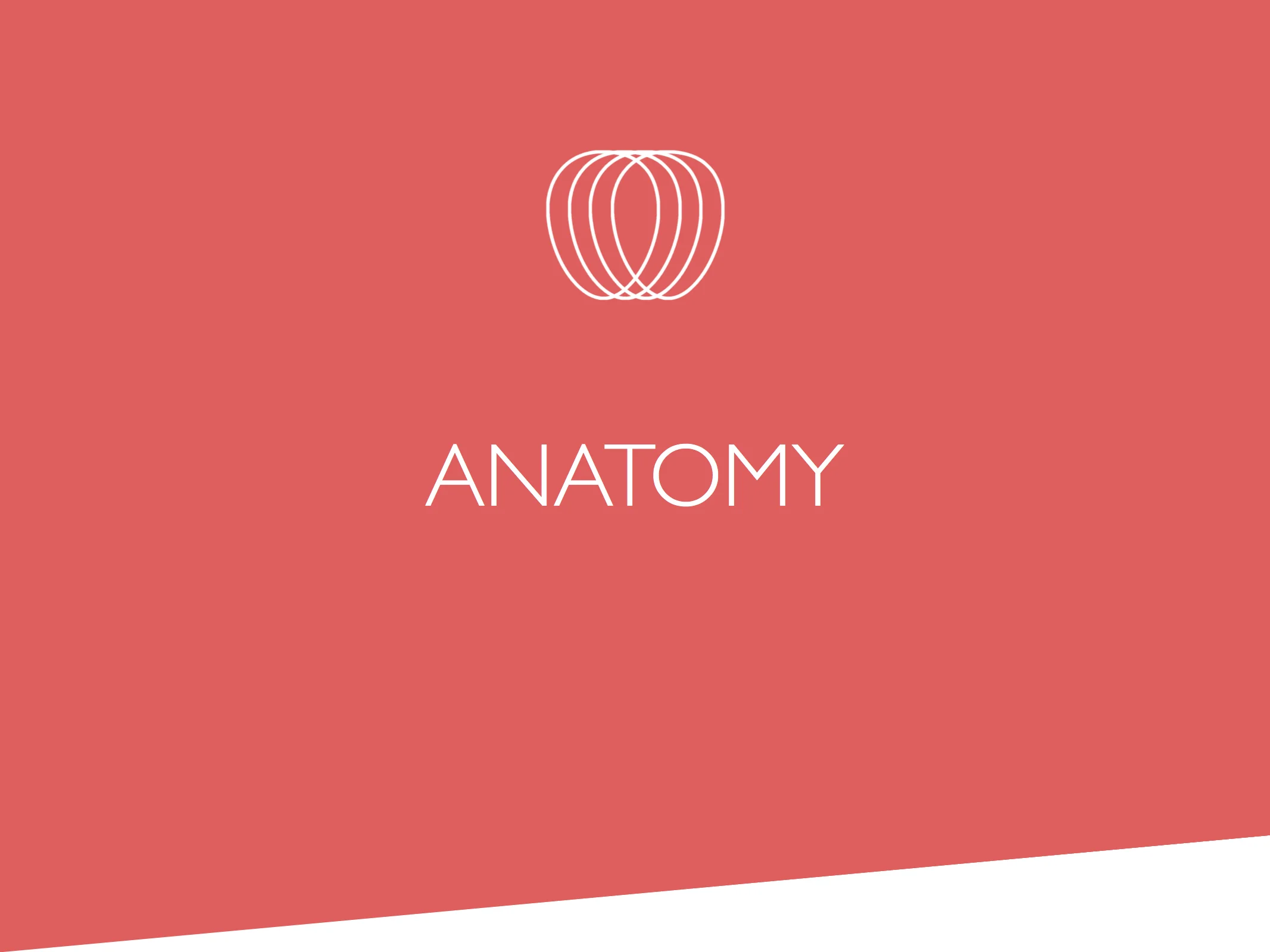 ANATOMY.jpg