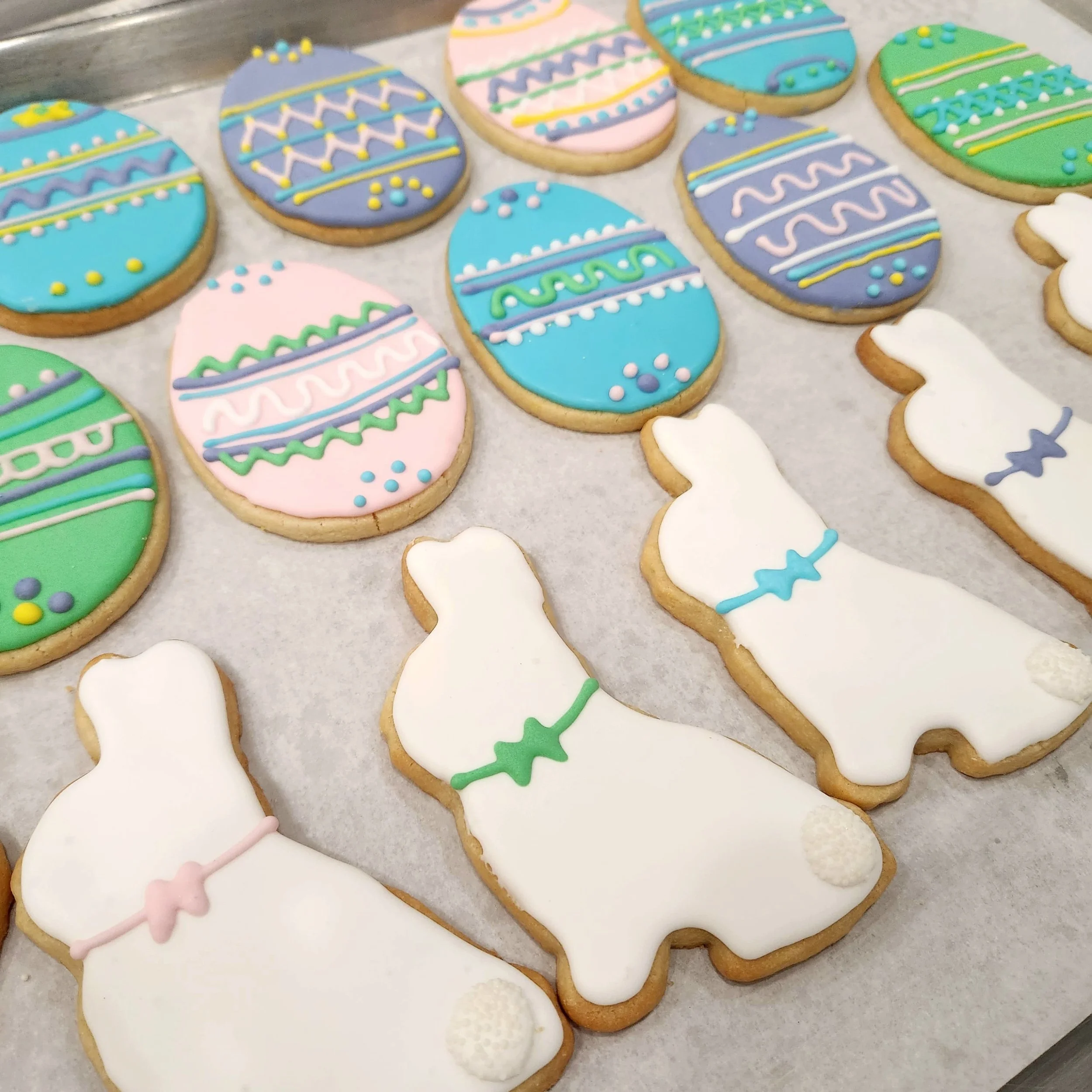 20250410_070726 (1).jpg