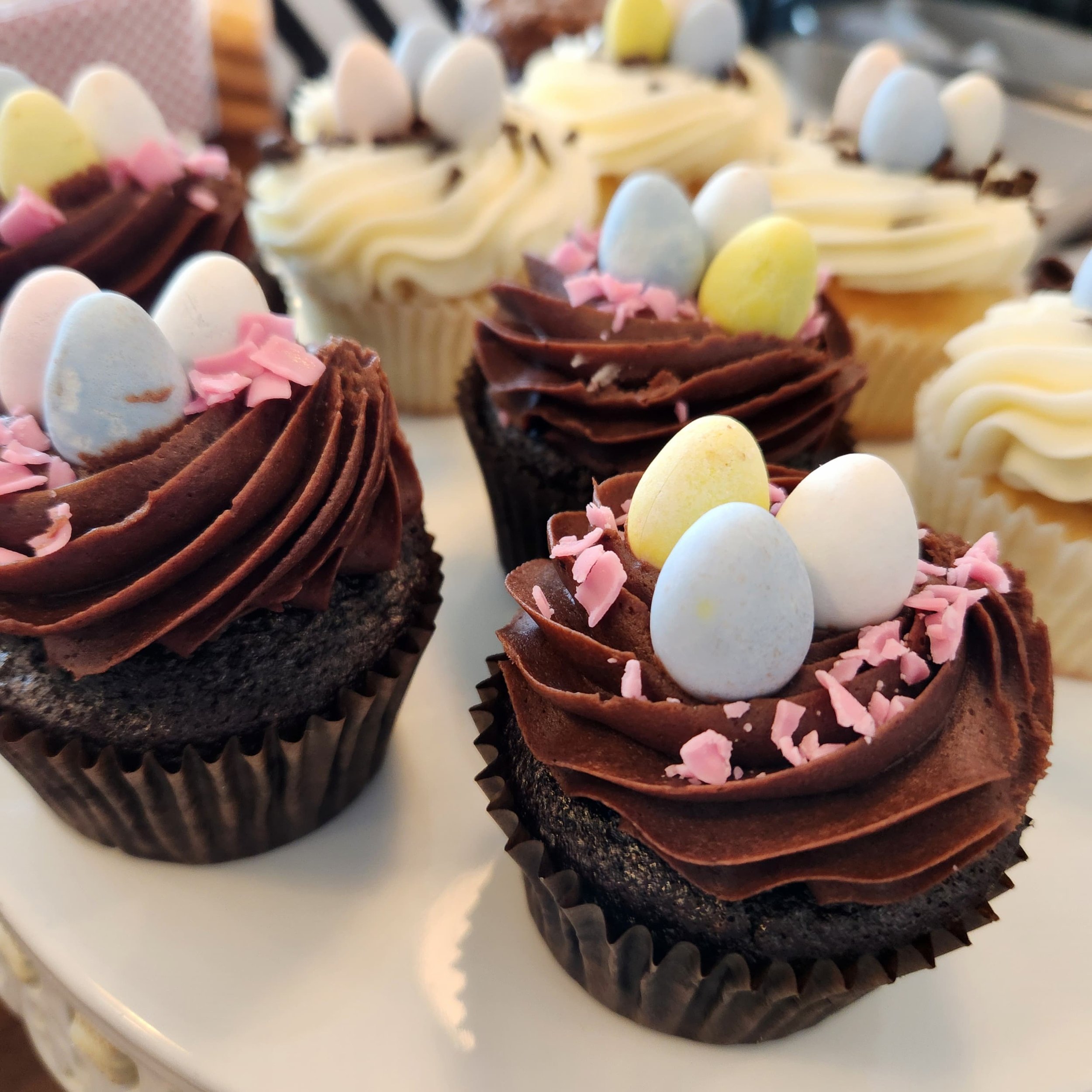 20250402_141112 (1).jpg