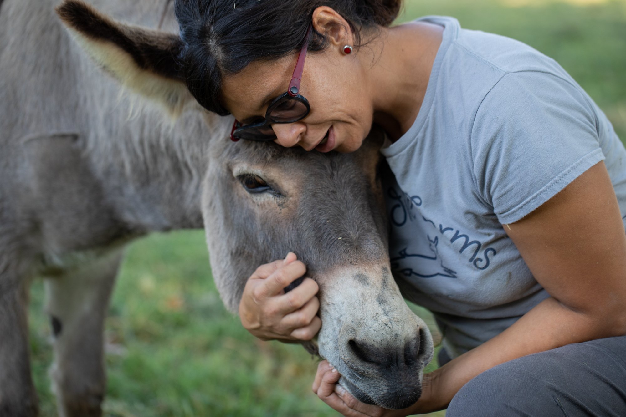  “Jojo is our guard donkey. He doesn’t really do a good job,” said Vergara. “Jojo neighs when something is wrong, and all the goats understand. But he’s currently overweight. Donkeys are desert animals. They didn’t evolve to have this much greenery a
