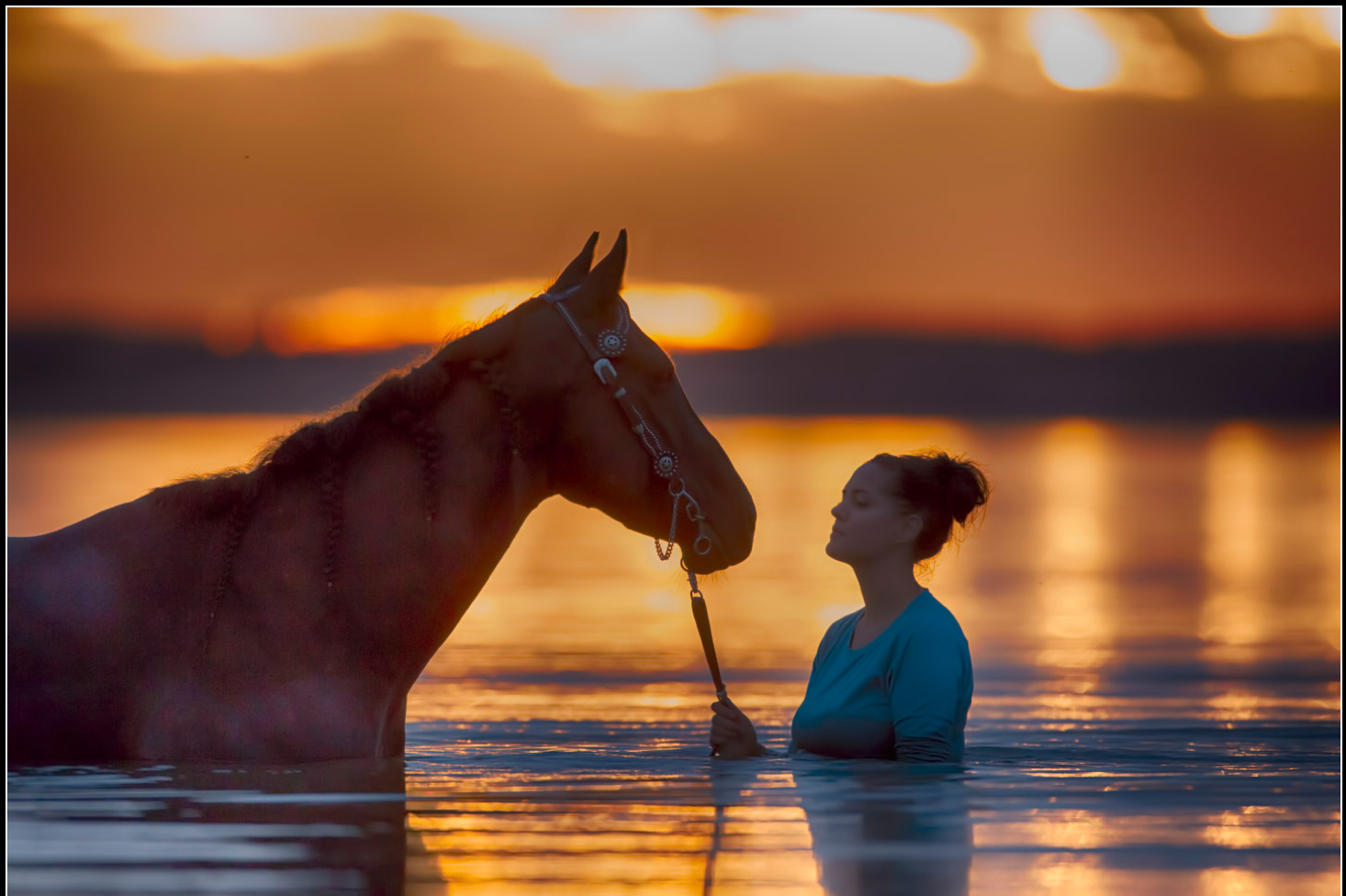 Screen Shot 2019-02-07 at 6.49.32 PM.png