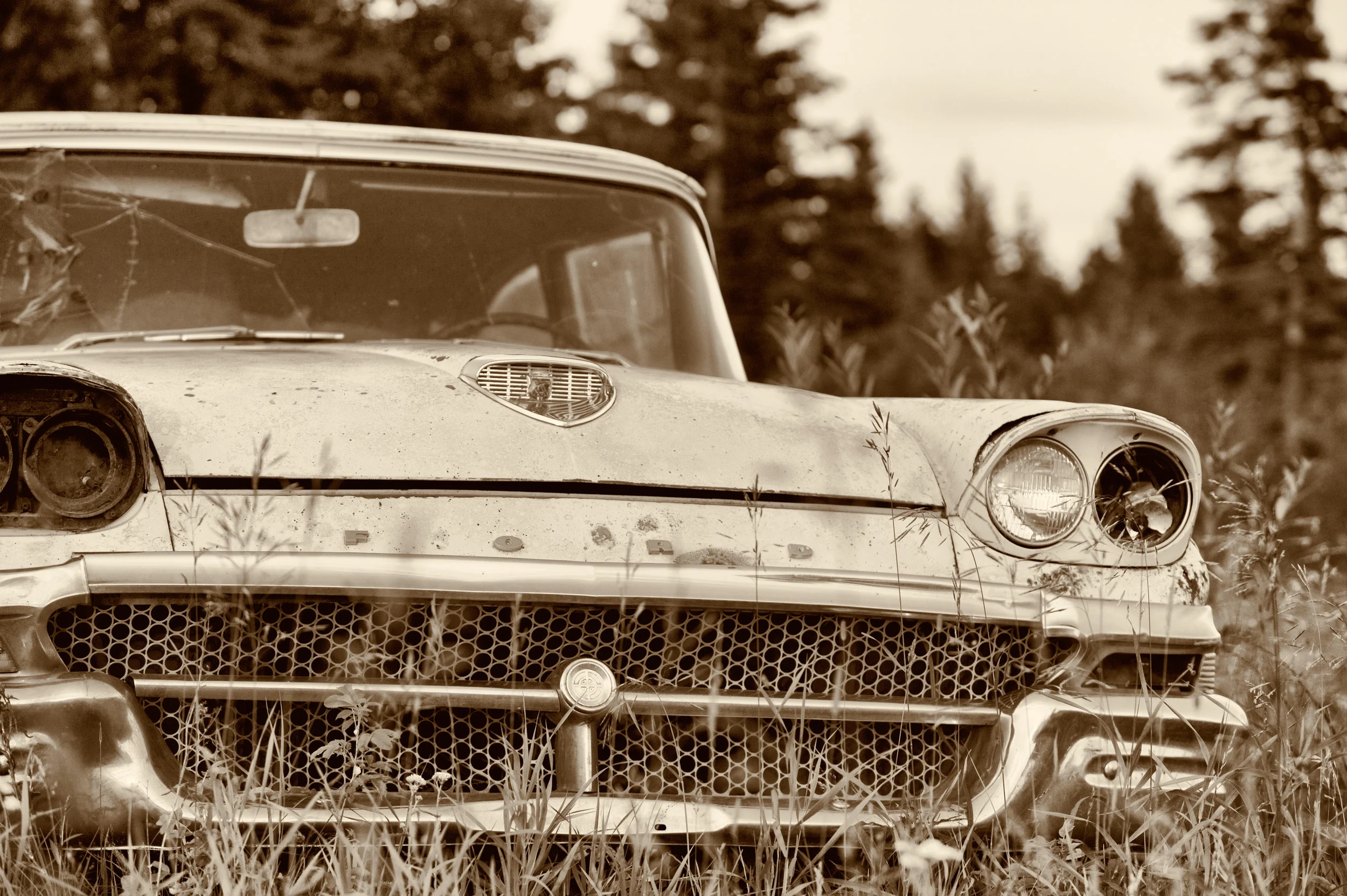 646S9445-Edit.jpg