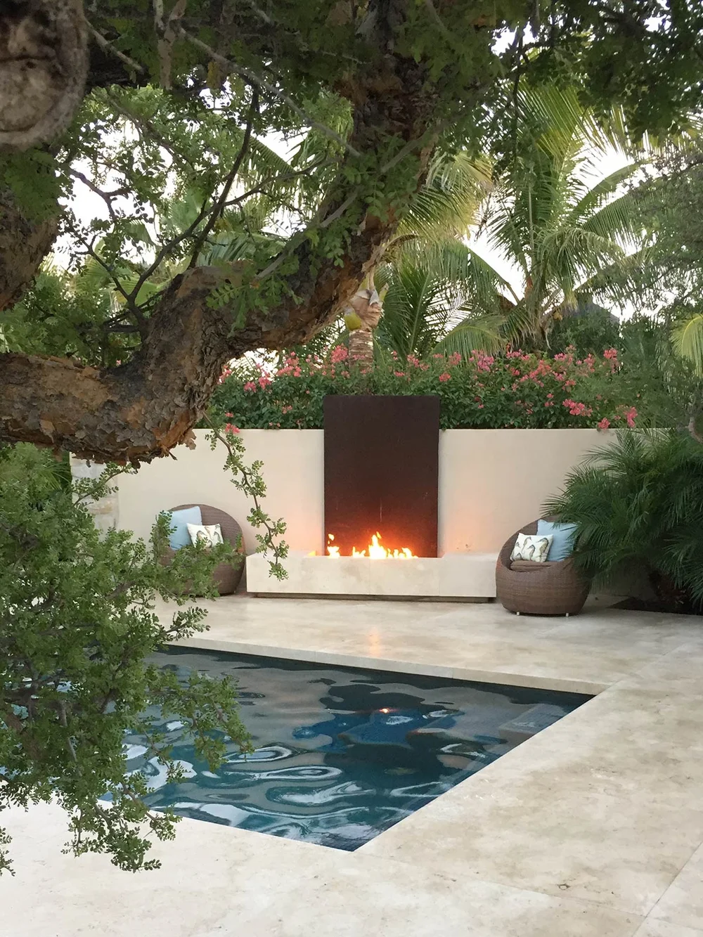 tropical oasis backyard on A Tropical Oasis In Baja Chris Jacobson Landscape Architecture Design