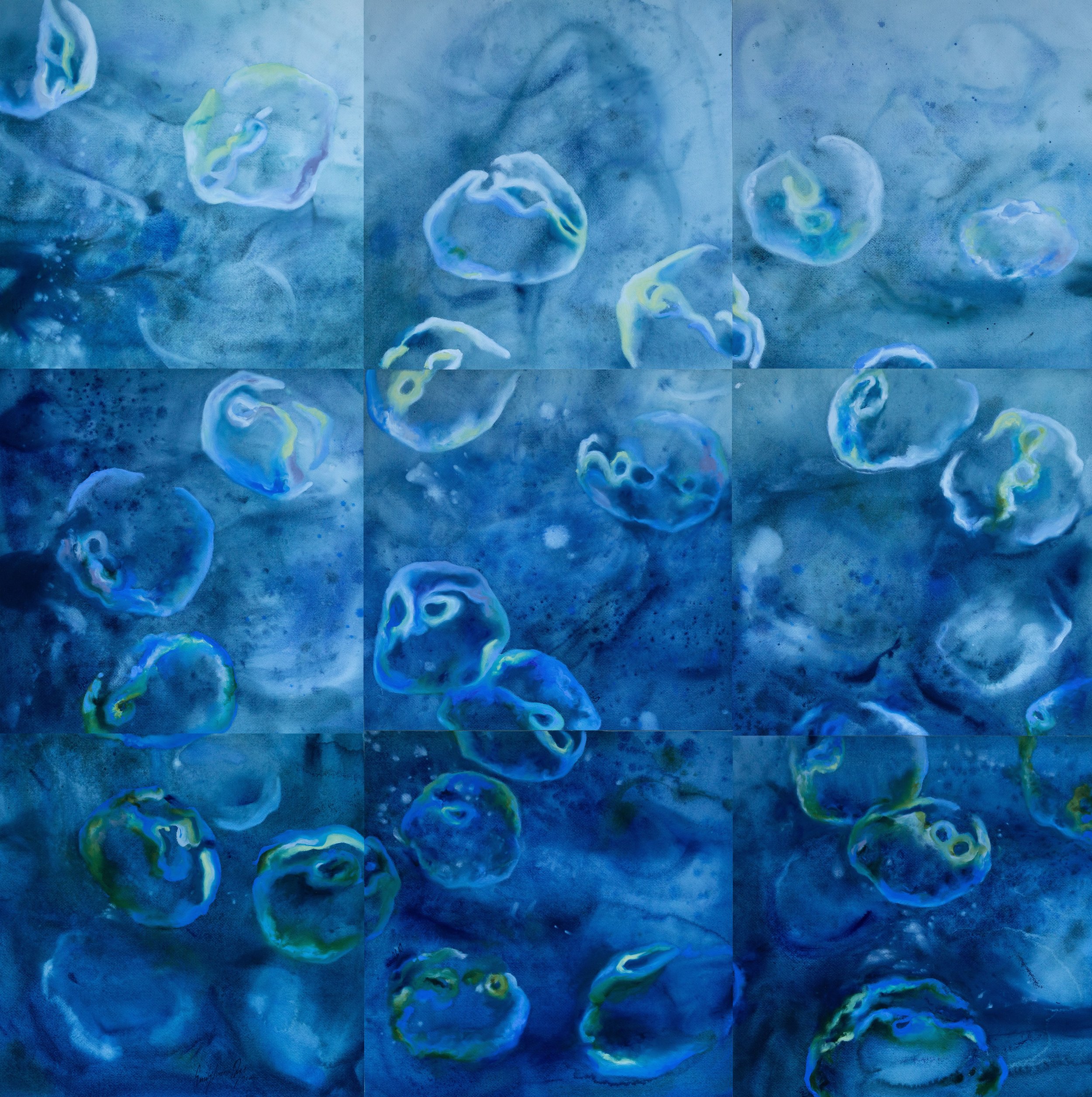 Jelly Fish 9