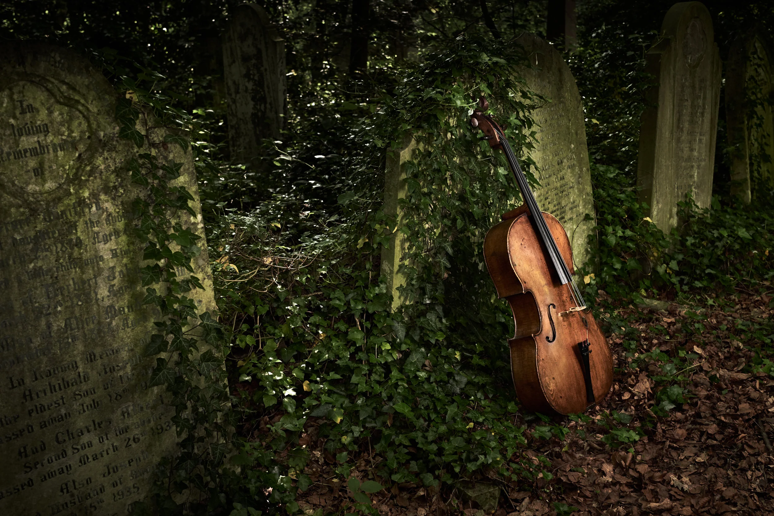 Michael's cello credit Kaupo Kikkas.jpg