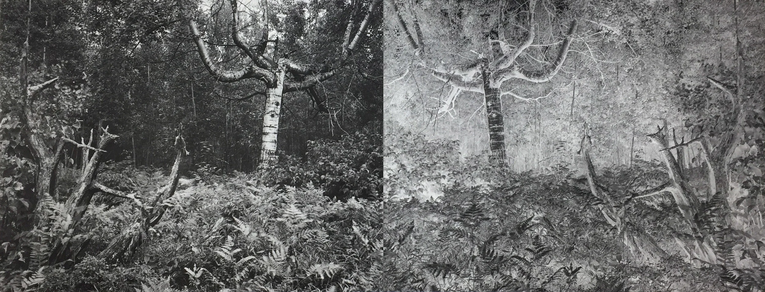 Charles Traub, Wisconsin , 1971, Archival print, 83 x 32 in. (image) *