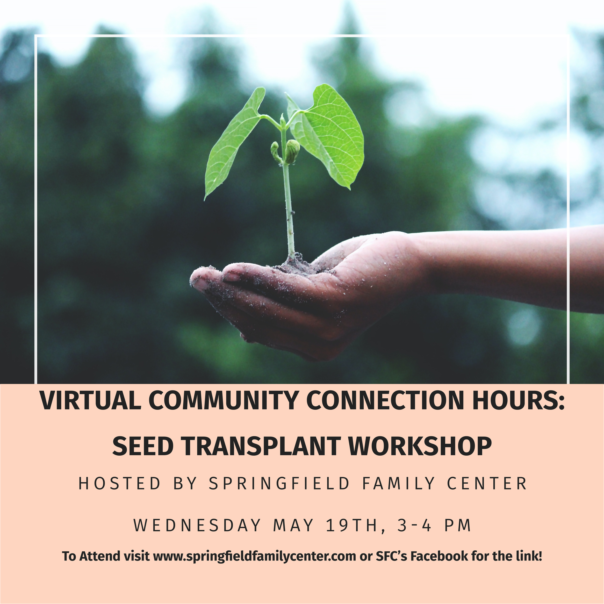 Seed Transplant Workshop2.png