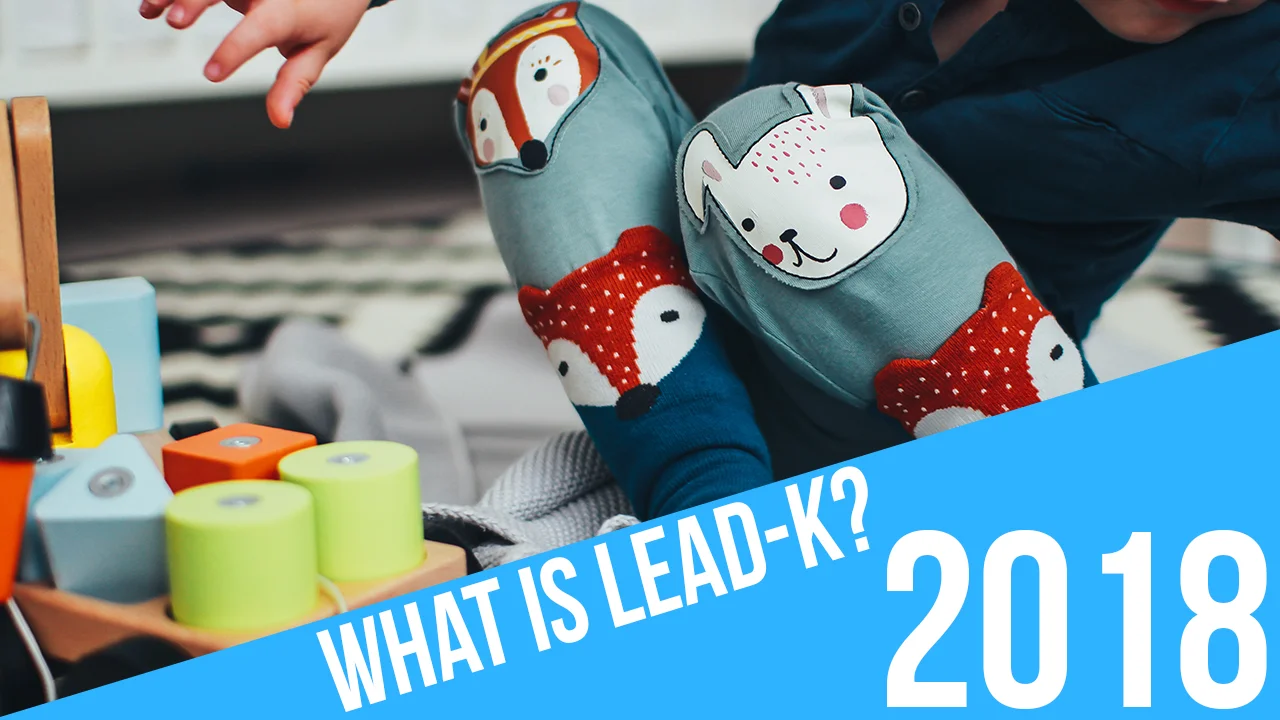 LEADK- 2018 Web COVER.jpg