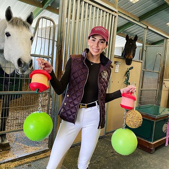 Treat day! ☺️ The horses have been inside a lot due to weather so we brought them some fun distractions. The great thing about these toys is once they finish the candy, you can refill with healthier fresh treats as well! 🍎🥕🍏🥕❤️🤠