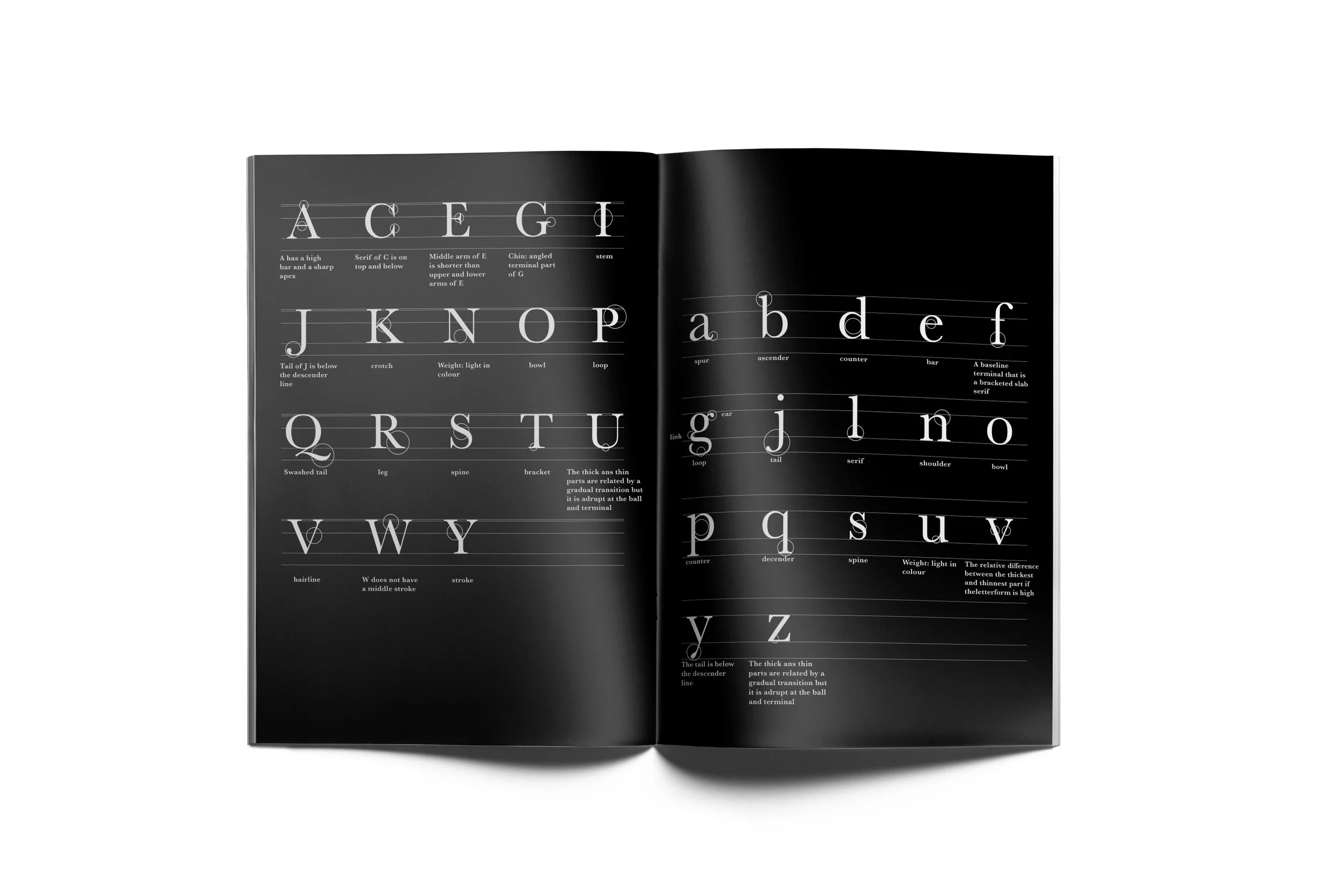 brochure 22.jpg