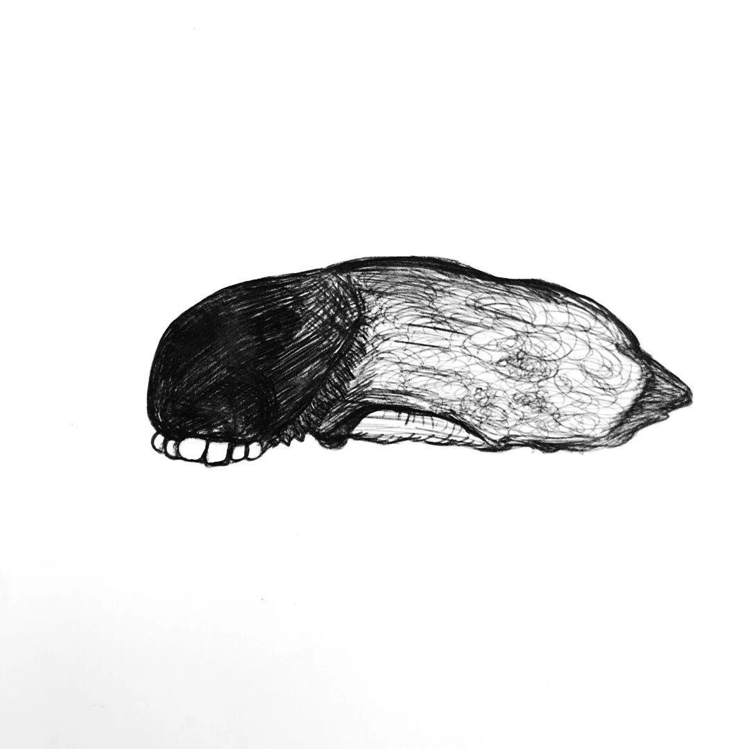 Stressed Slug (ink)
