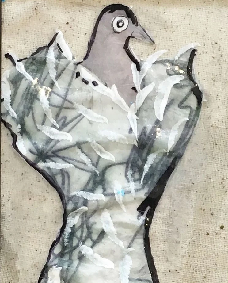 Glamour (it's a pigeon)