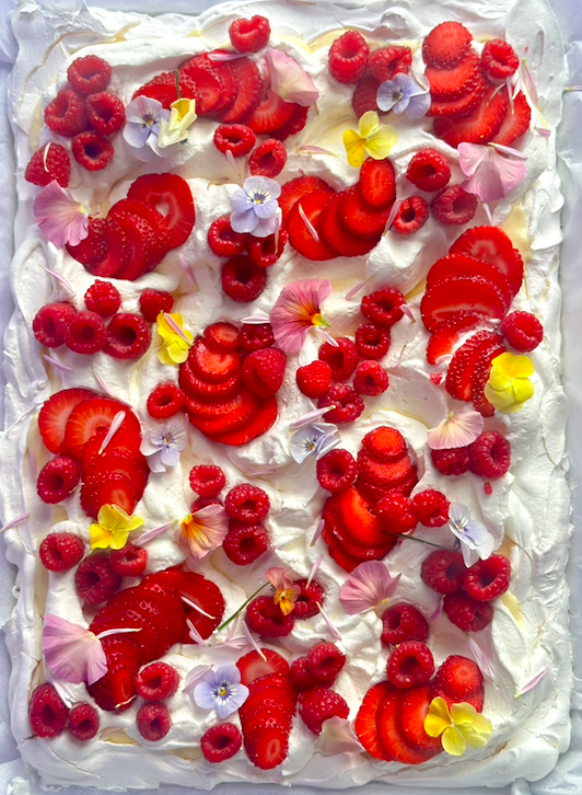 Screen Shot 2024-03-25 at 11.40.26 AM.png