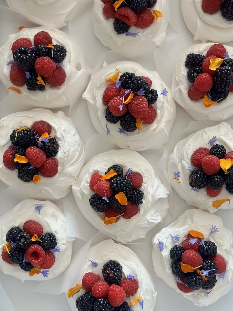pavlova pc.jpg