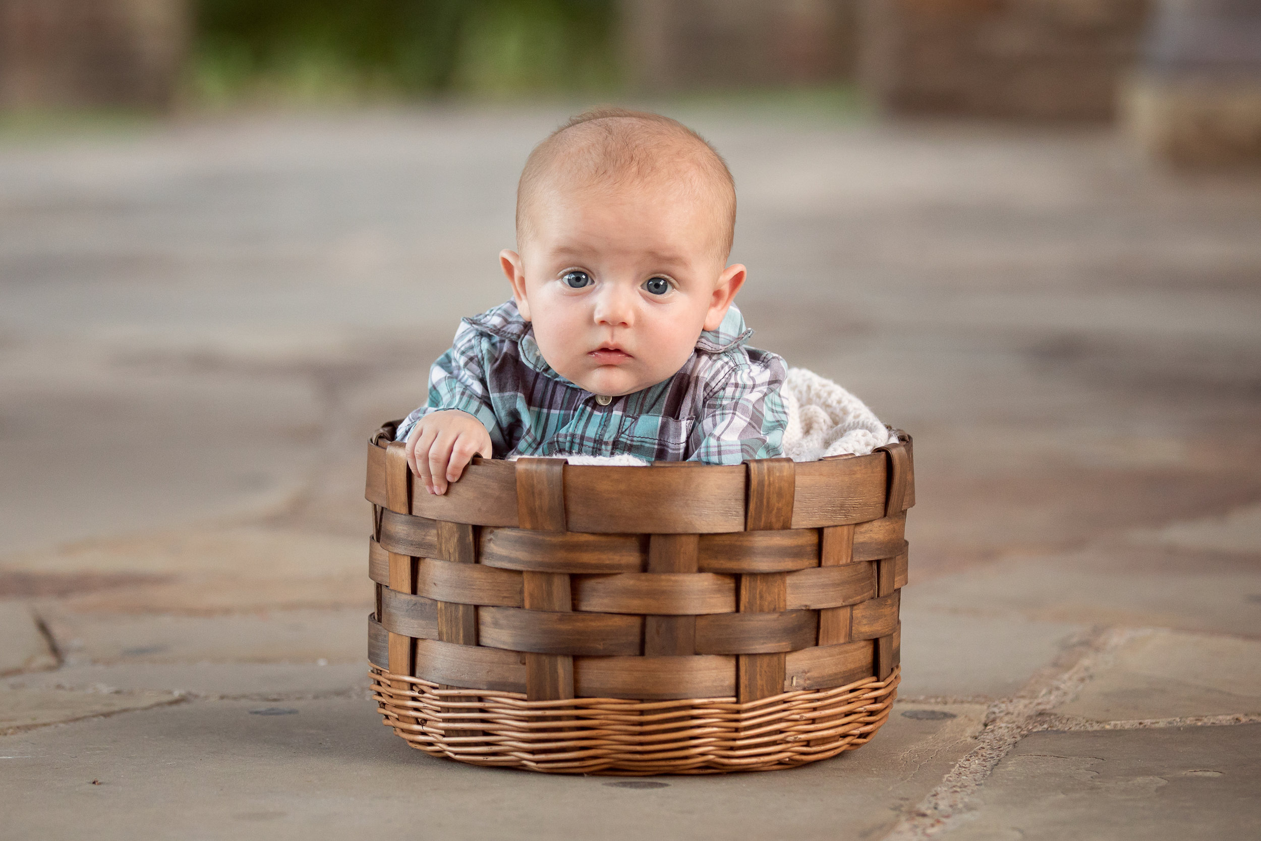 Southlake Baby Photographer