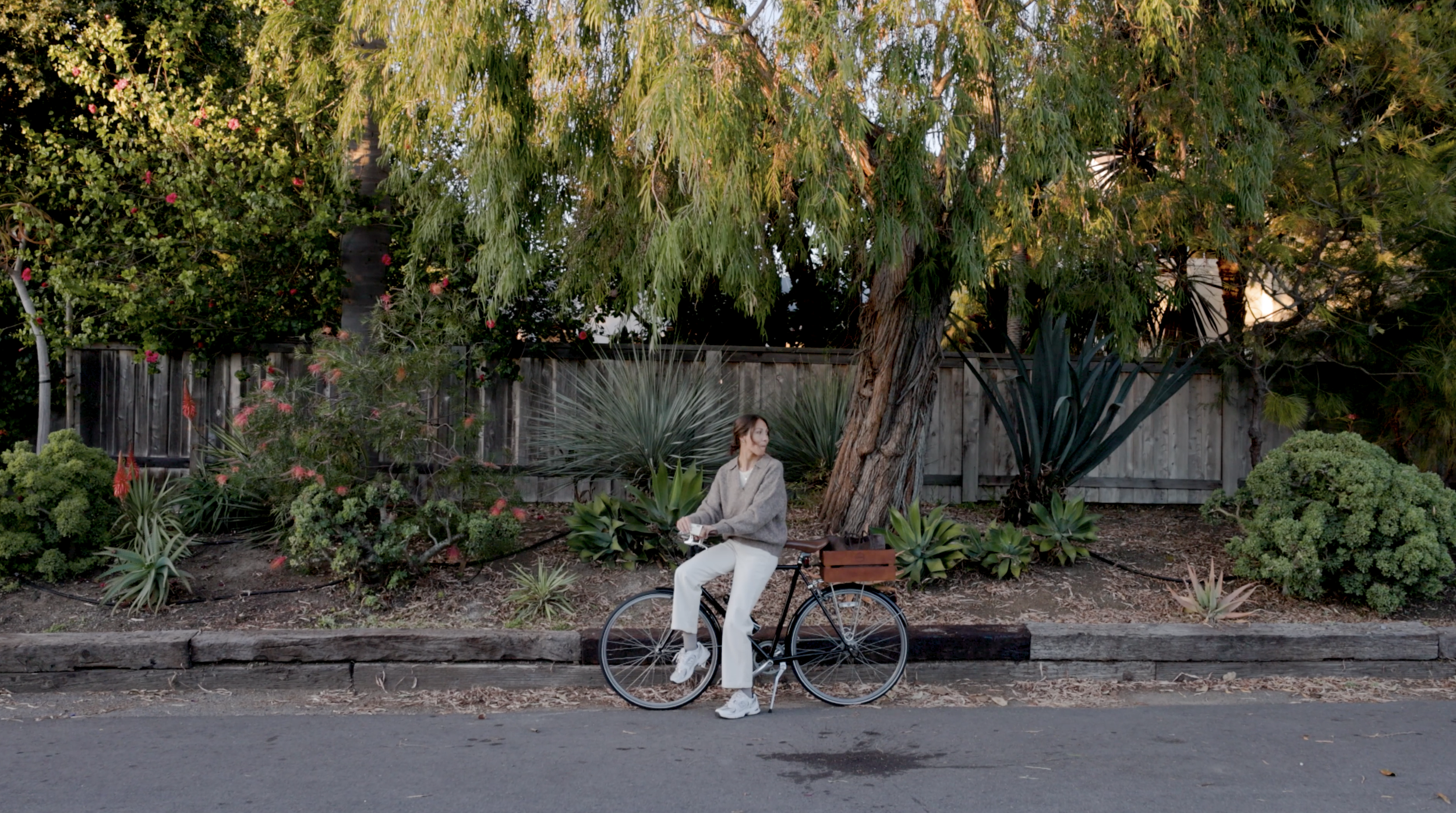 New Years Wellness for GoMacro