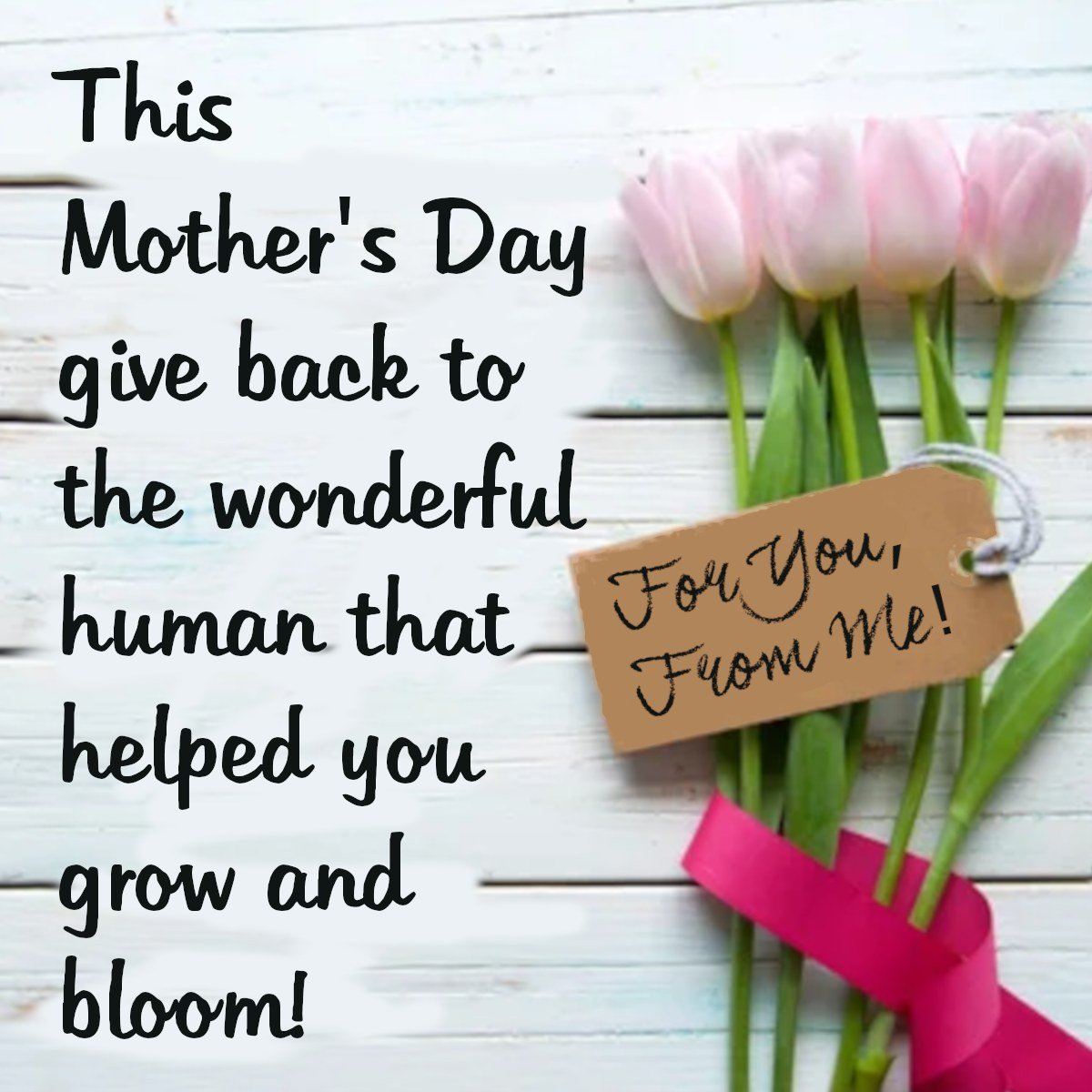 There's only 12 more days left to our Mother's Day Flower Fundraiser... have you bought that 'mother' in your life something special? Buy a beautiful arrangement and and at the same time support a community that does so much for so many! The @sascwr 