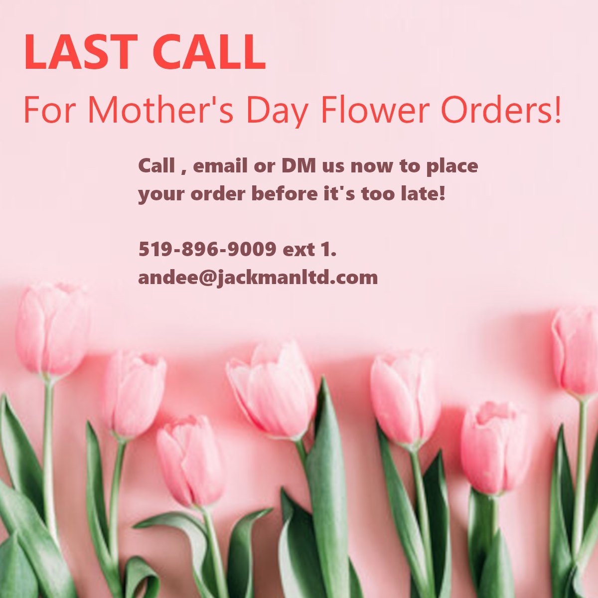 The LAST DAY to order Mother's Day Flowers is tomorrow!!!
-
Don't forget to order asap so you can show that special someone how much you appreciate them for all they do and how they've helped you grow. Deadline is April 30th at 4:30pm. 
-
All proceed