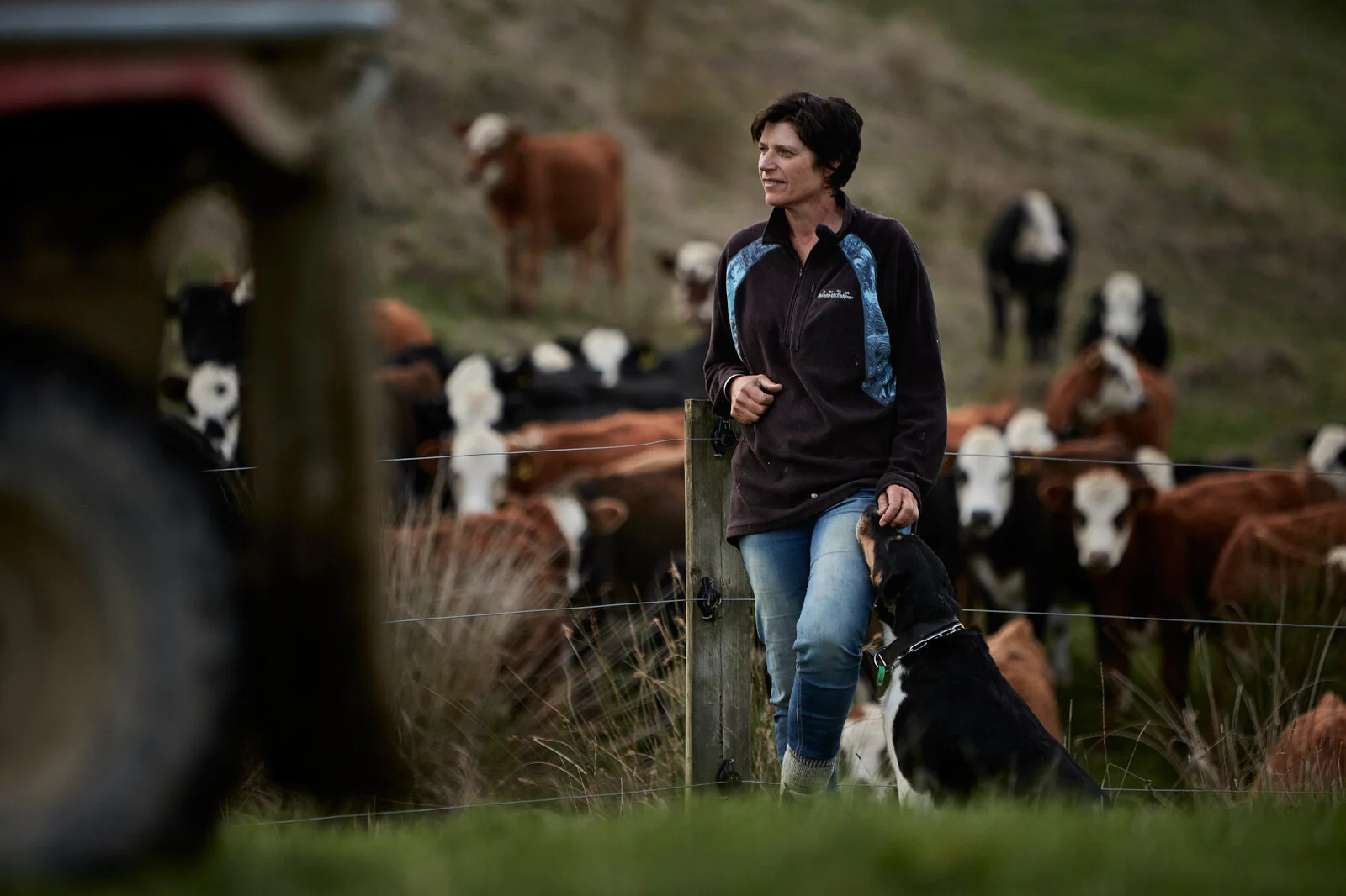 Ancalf Julie Vercoe 8298.jpg