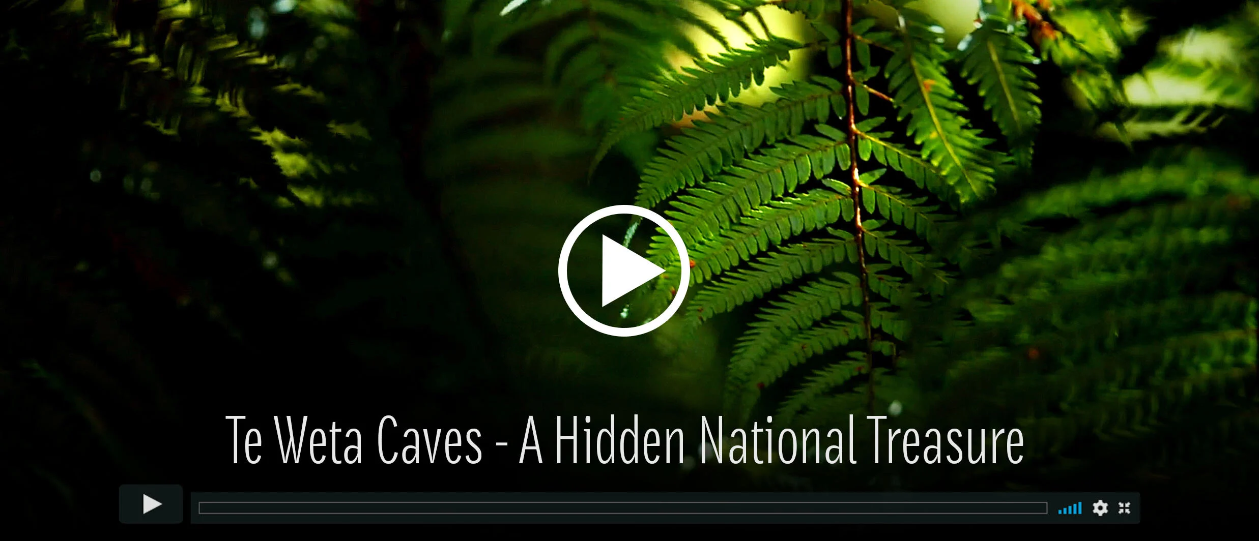  Te Weta Caves - Transpower Cultural Awareness 