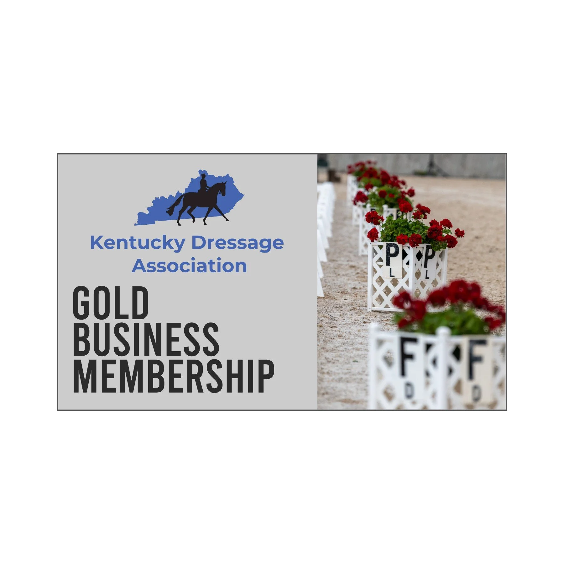 KDA gold business membership card.jpg