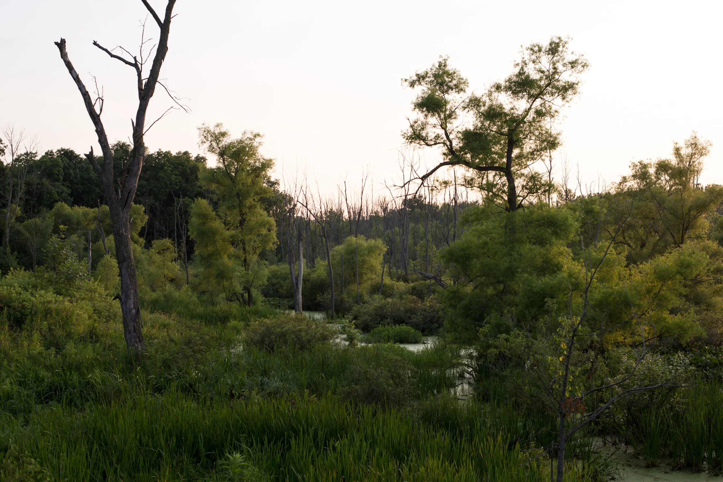 20180712-Last light at Oxbox054Low Res.jpg