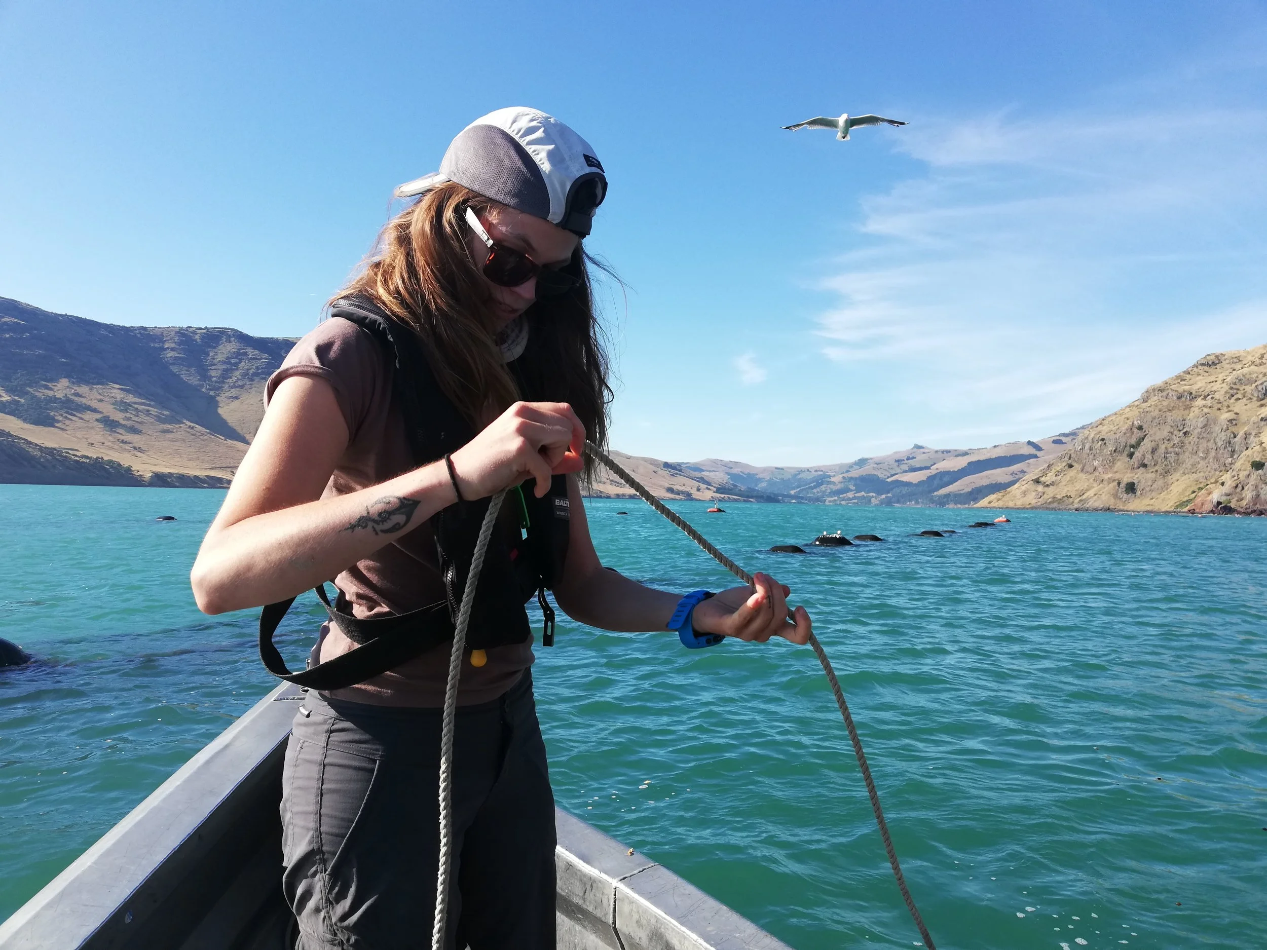 Jesu lowering a fish trap.