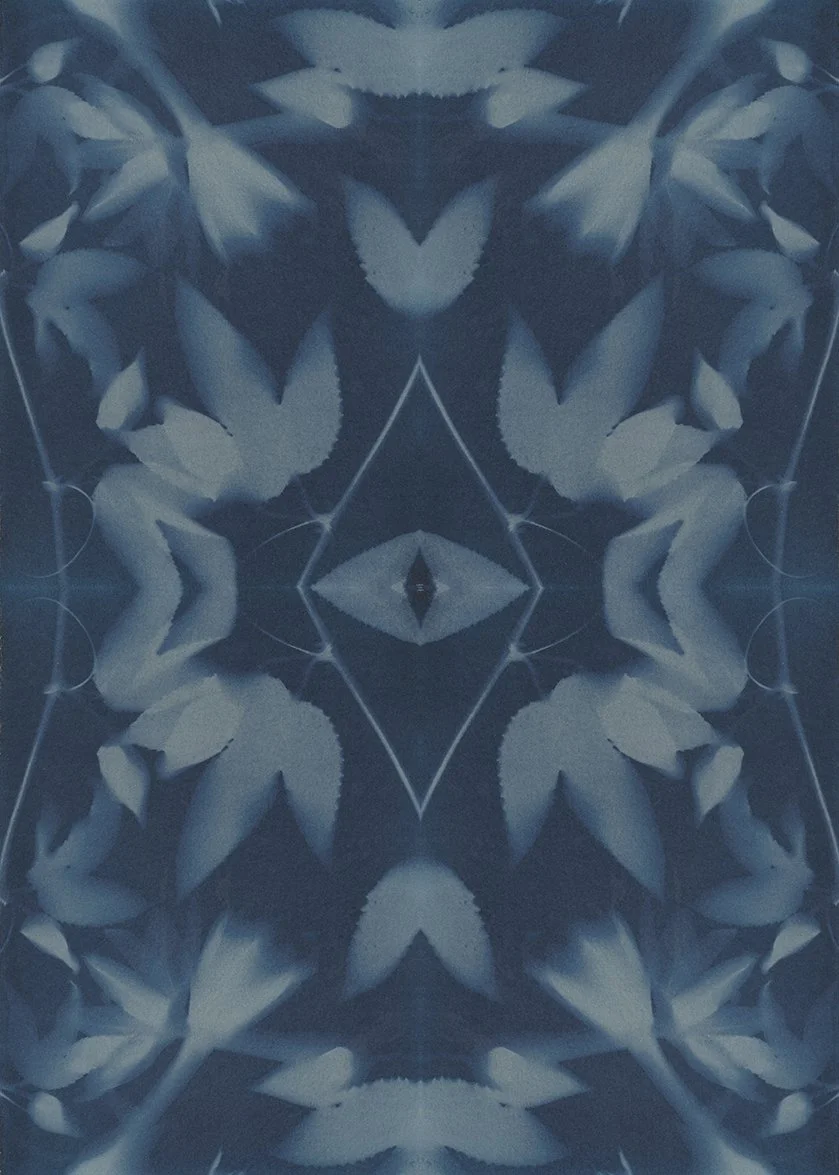 Passiflora_Tile_web.jpg